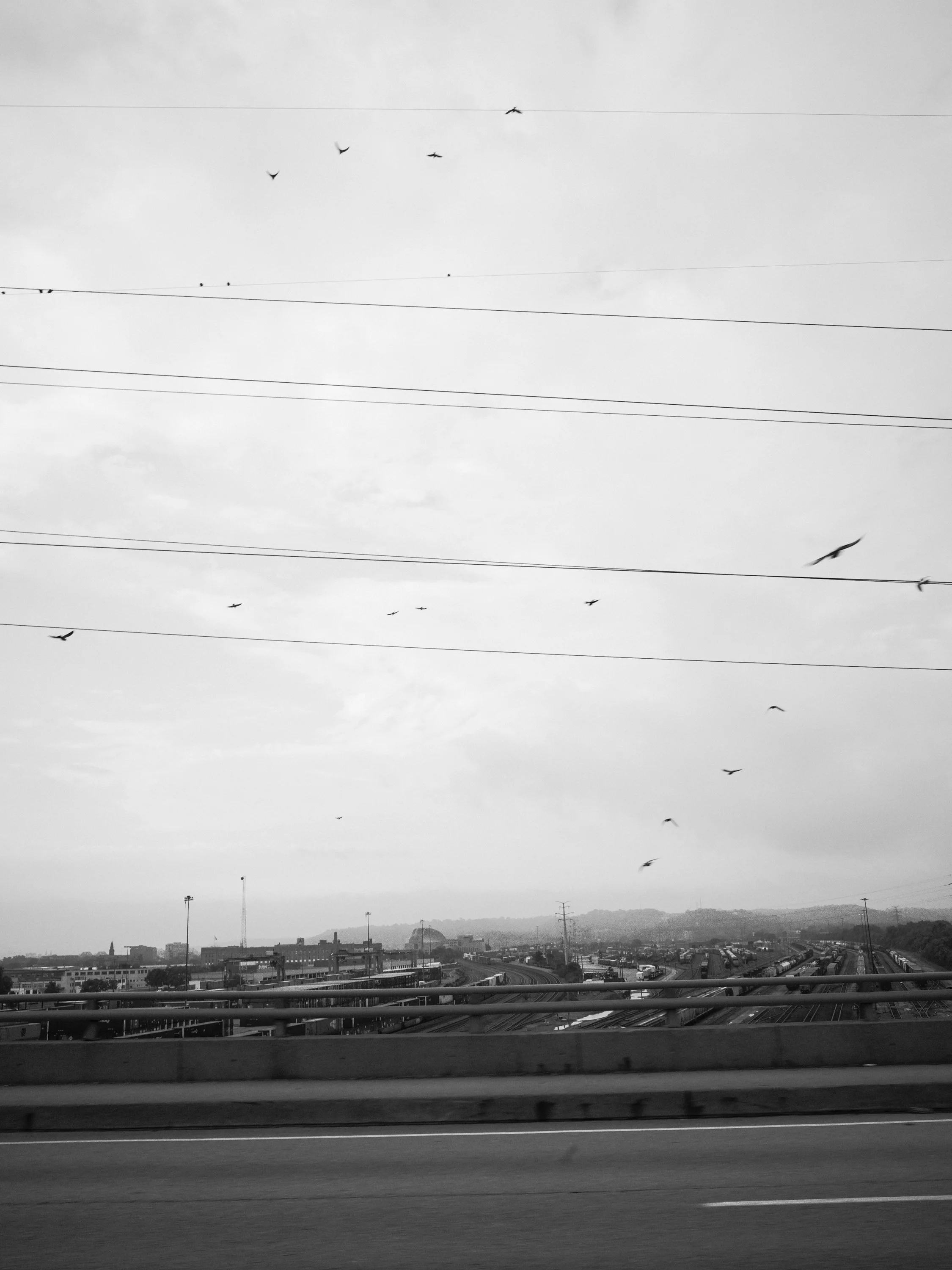 _G108978.jpg