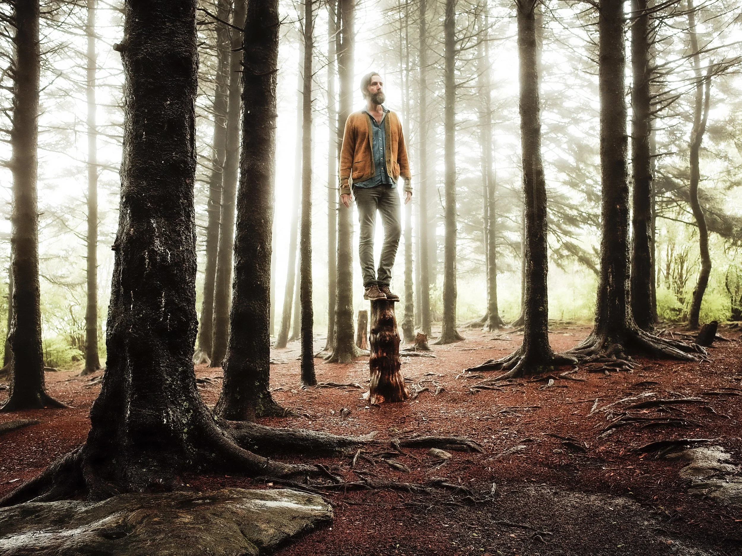 Atmospheric fine art portrait of musician Tyler Ramsey standing atop a forest stump among tall pine trees, photographed by Parker J. Pfister.