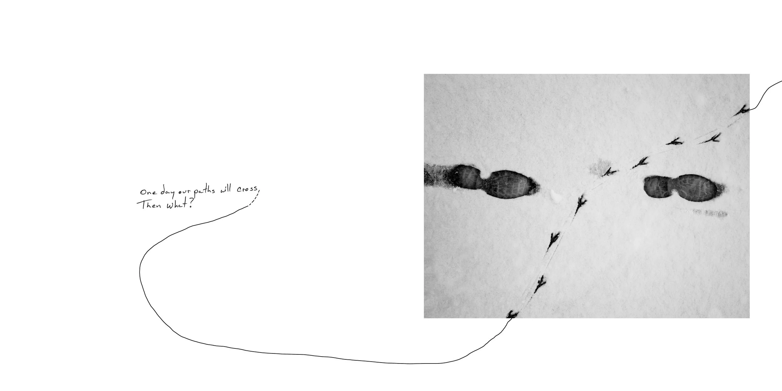 A black and white fine art spread from the book "of Solitude" by Parker Pfister.