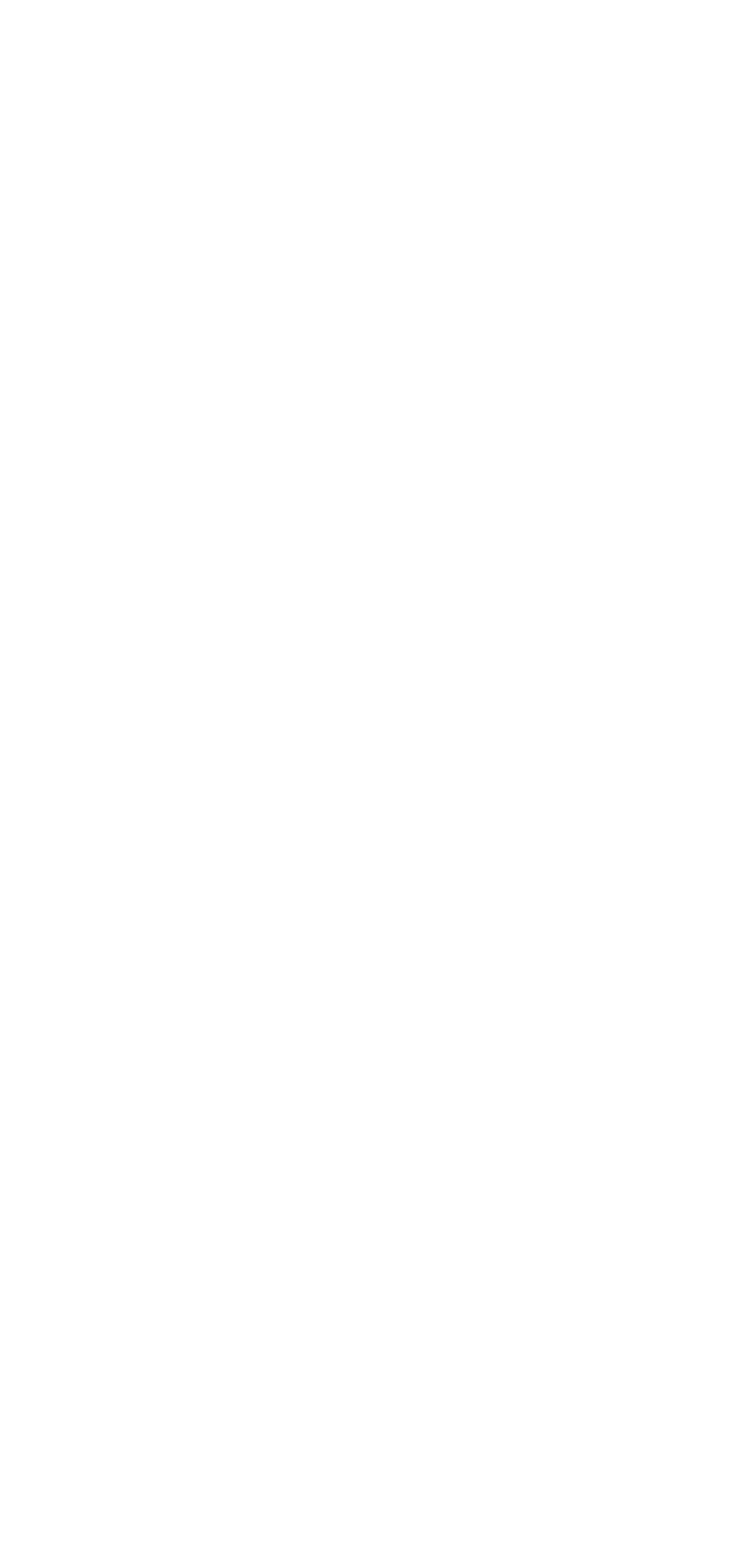 What We Do — Chattanooga Parking Authority