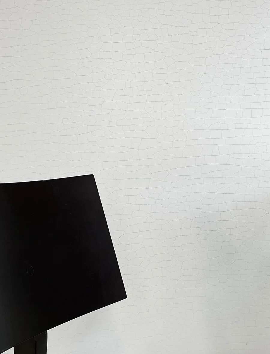 Bone China Polished Plaster by Ambitec