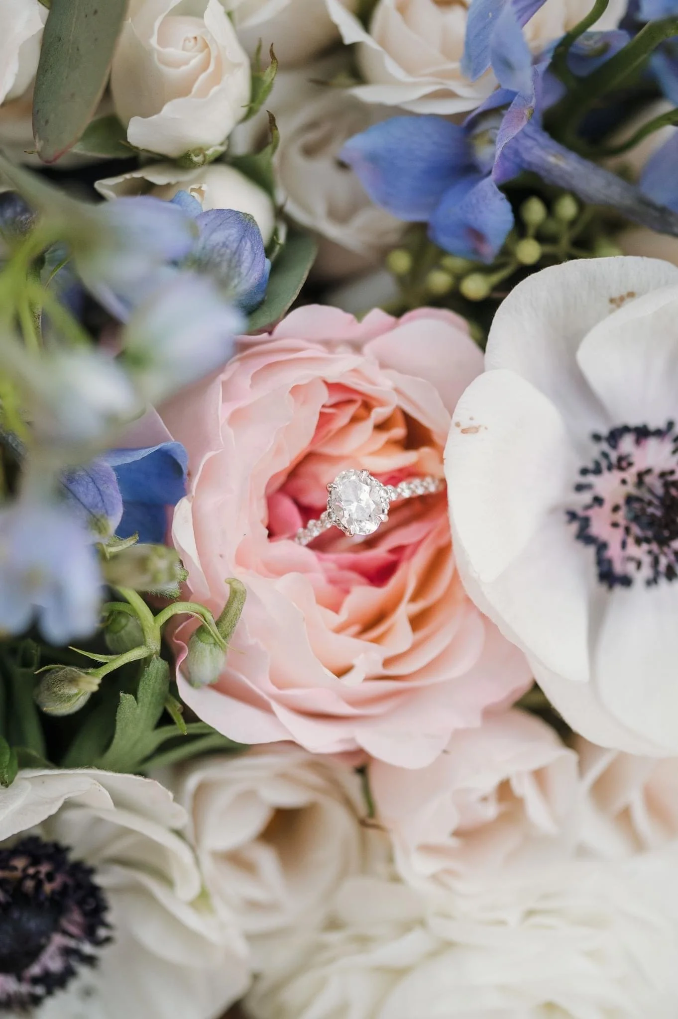 A diamond engagement ring placed inside a pink rose surrounded by white and purple flowers.