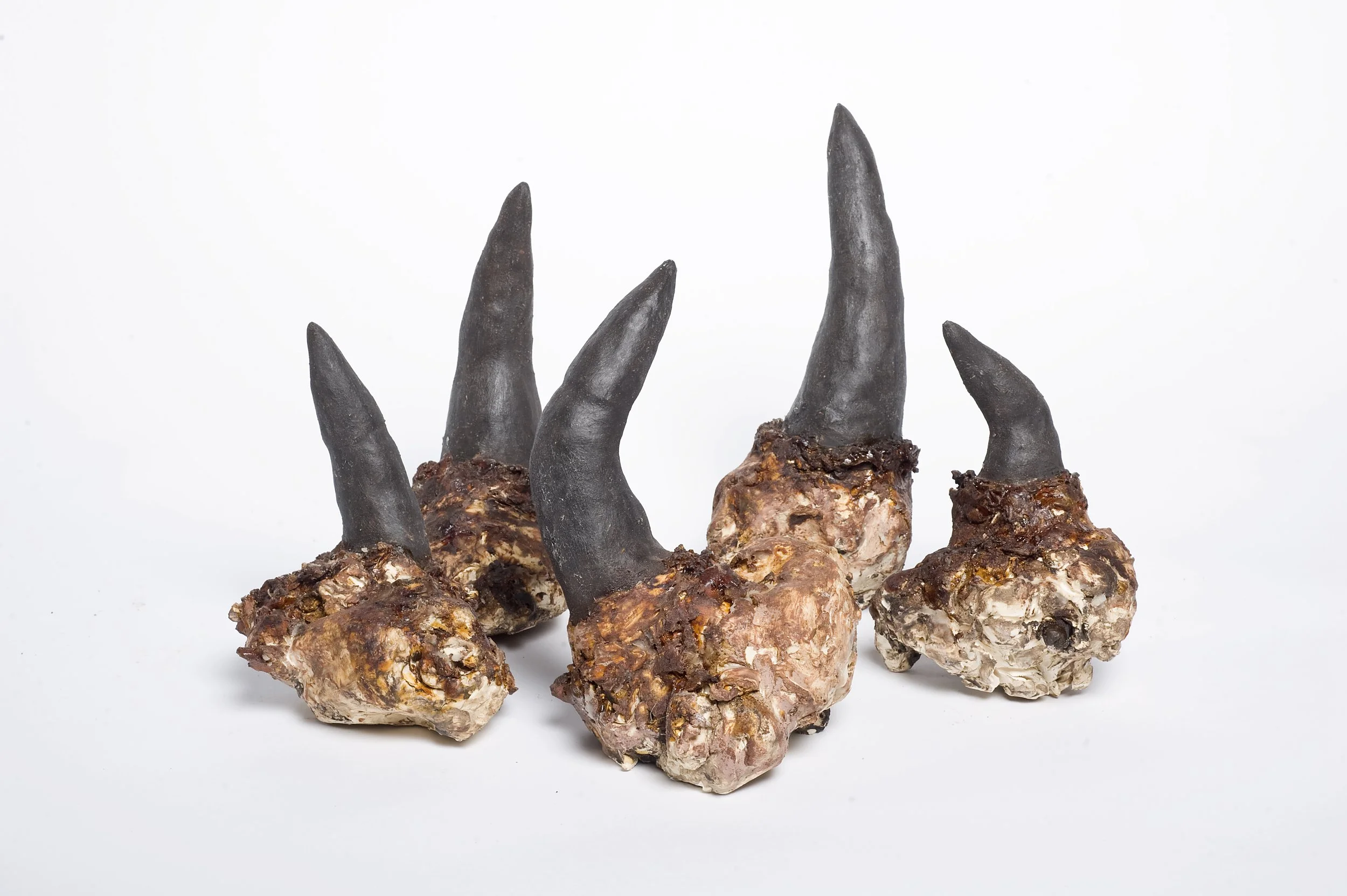 'Of Nature' Tristian Koenig Gallery, 2014