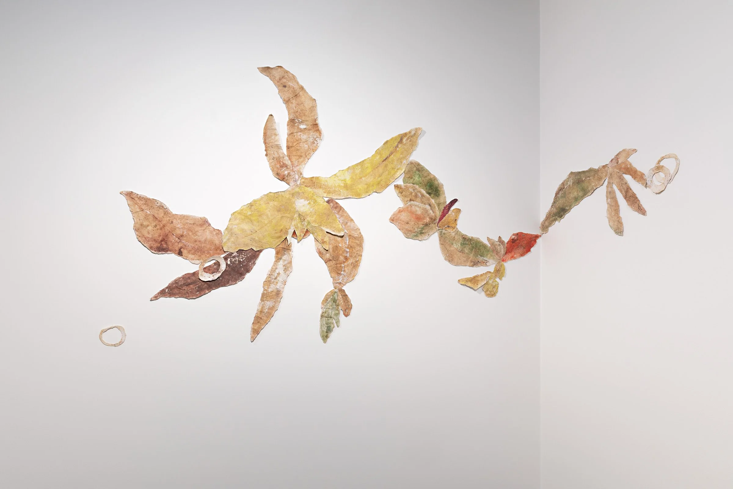 Greenworld, Group exhibition at  Bayside City Council, Mebourne 2020