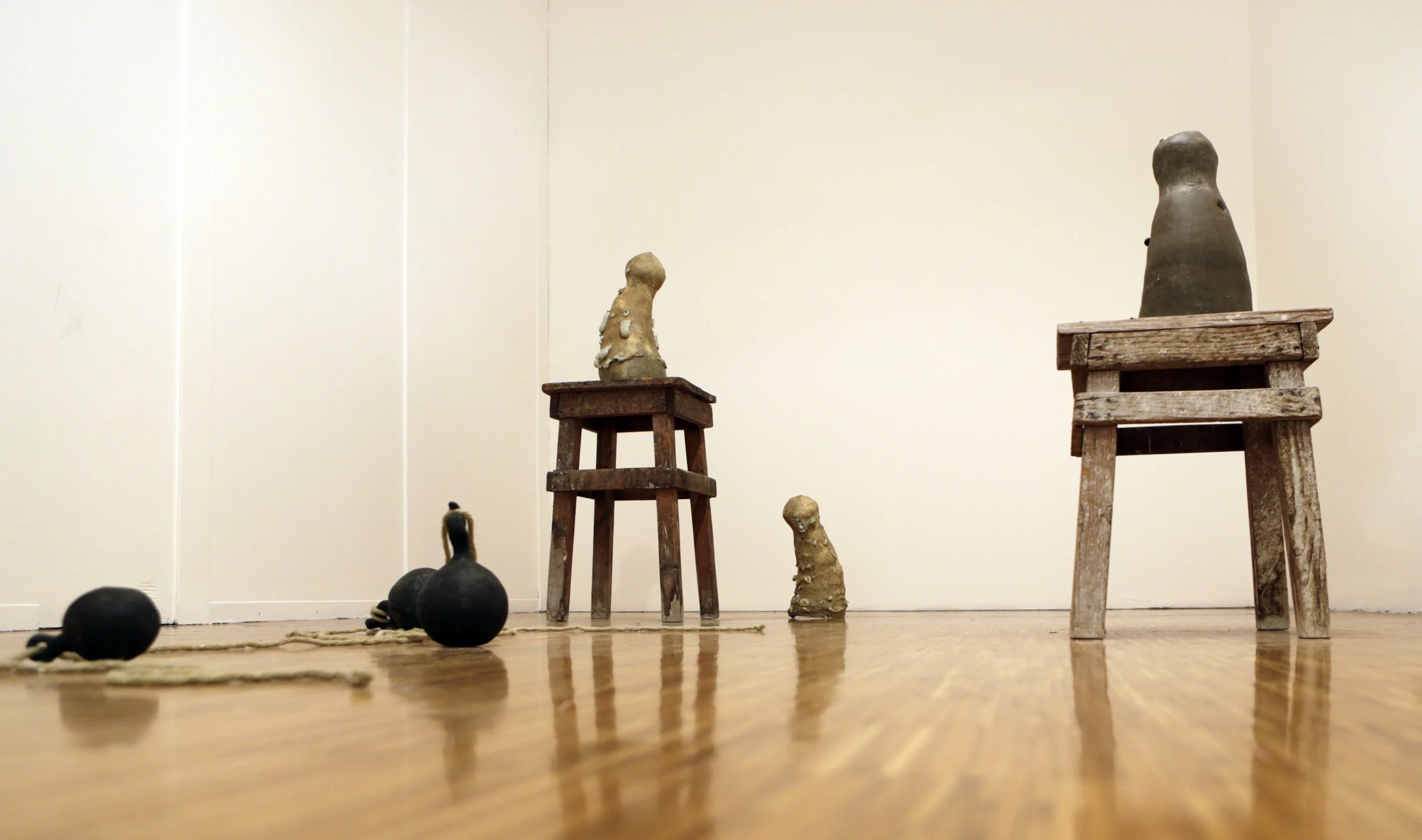 MUSEO DI LISSONE 2017