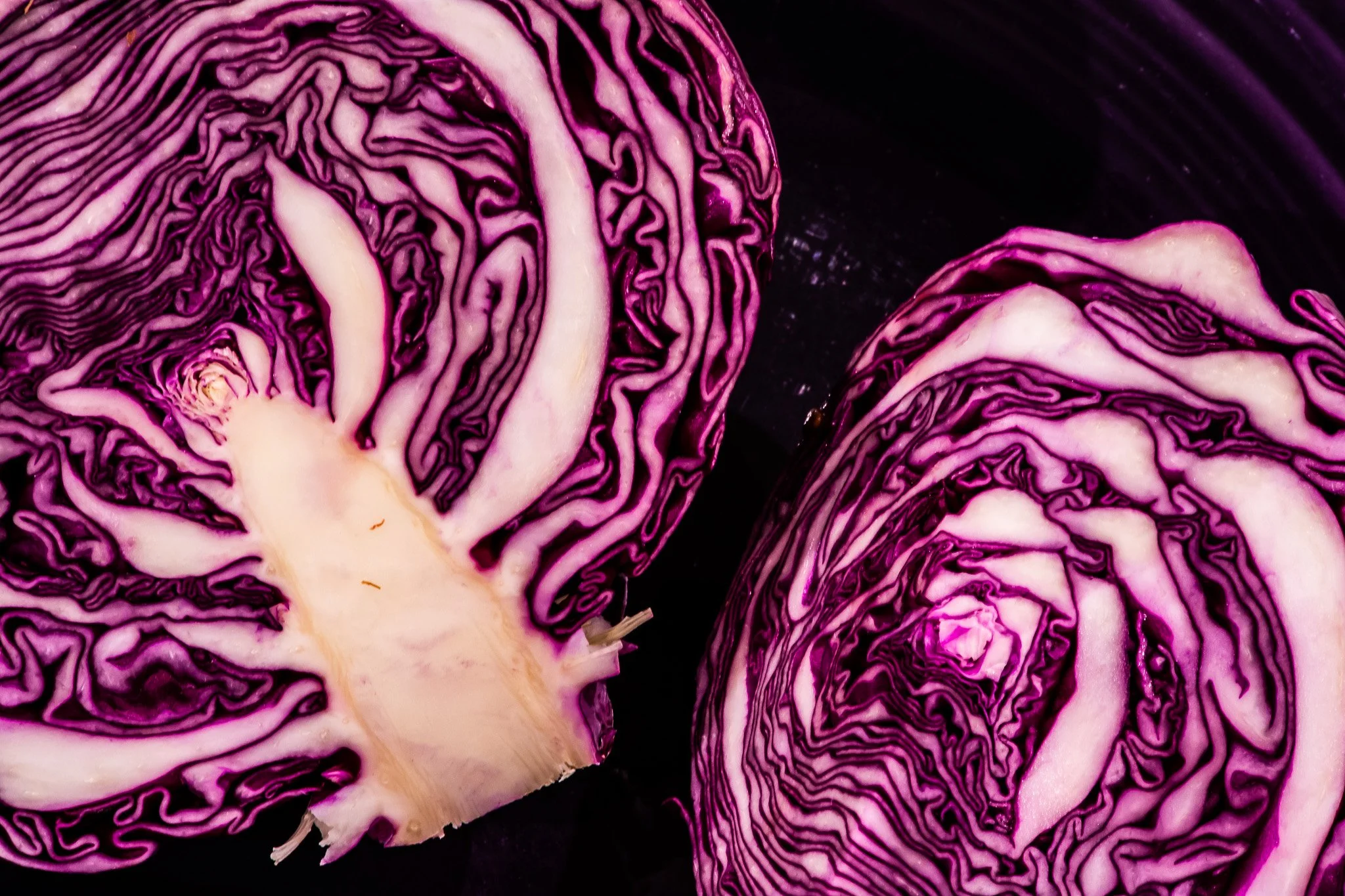 Cabbage Brains.jpg