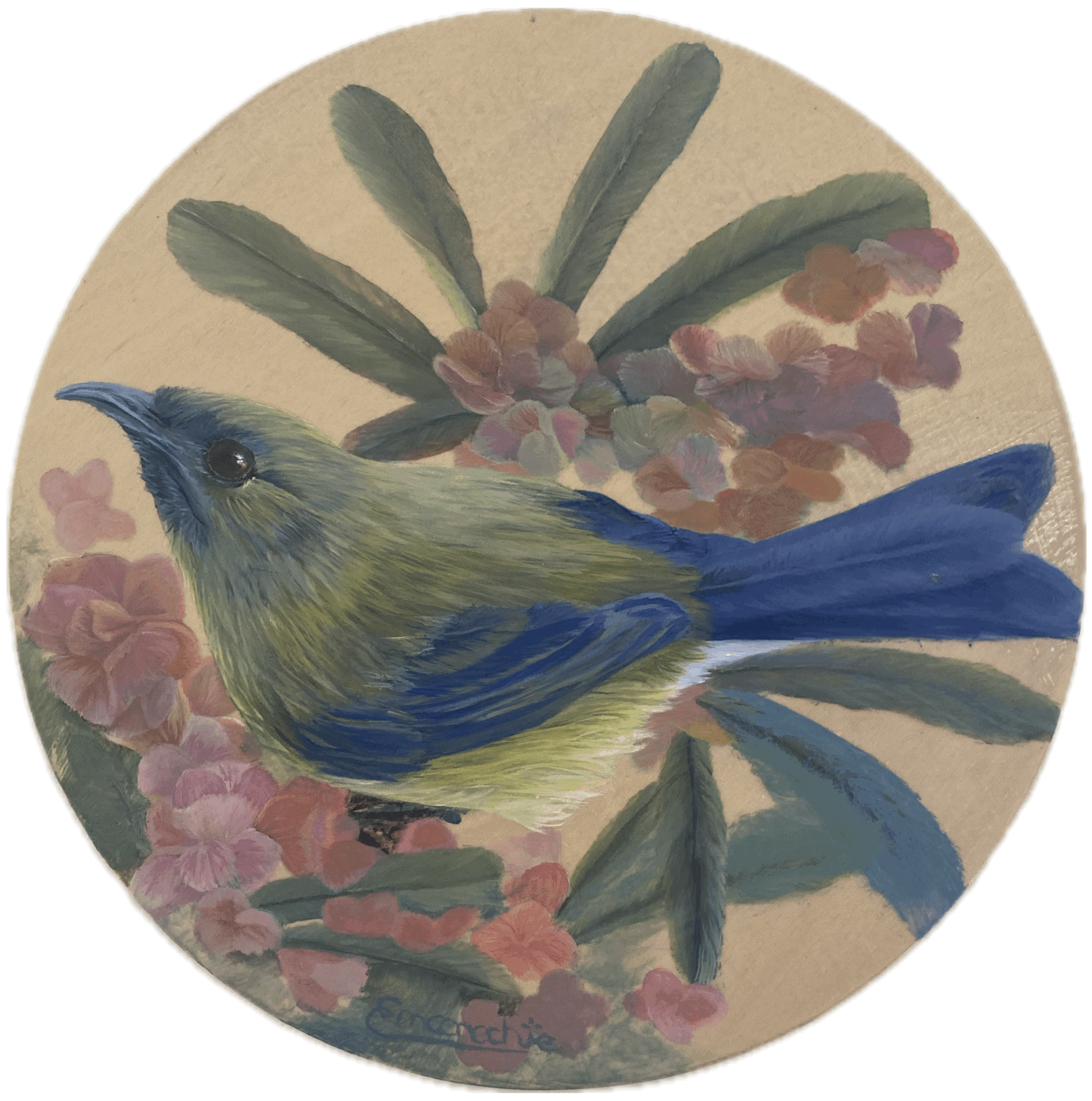 Korimako Oil Painting on 20cm Round Timber panel
