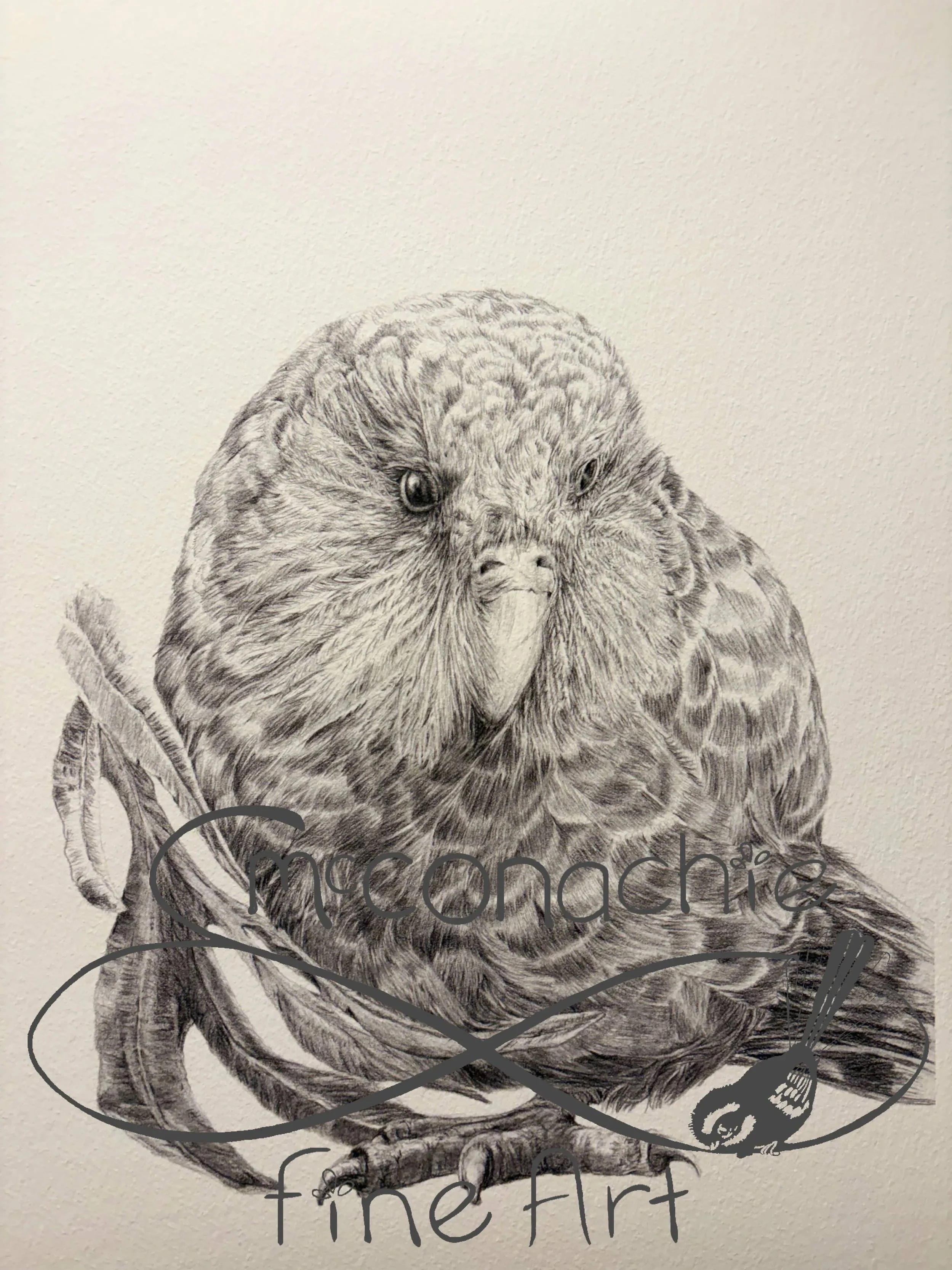 Mother+Kakapo.jpg