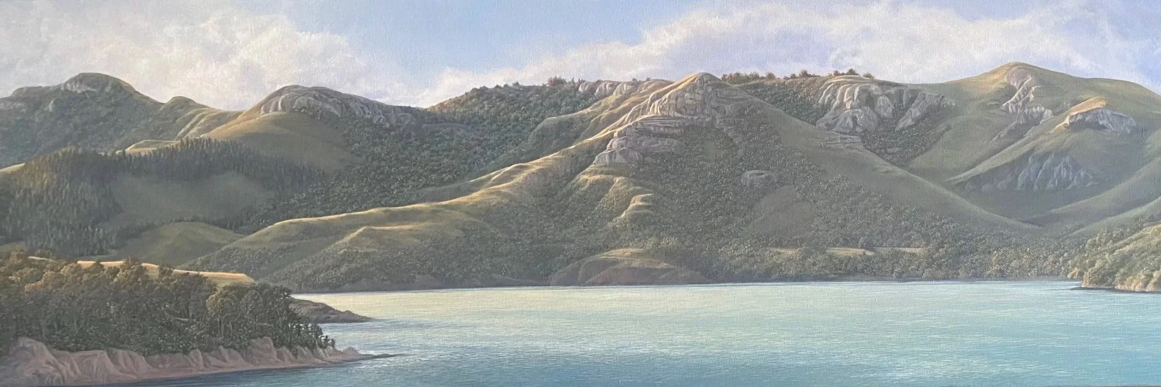 Looking across the Harbour