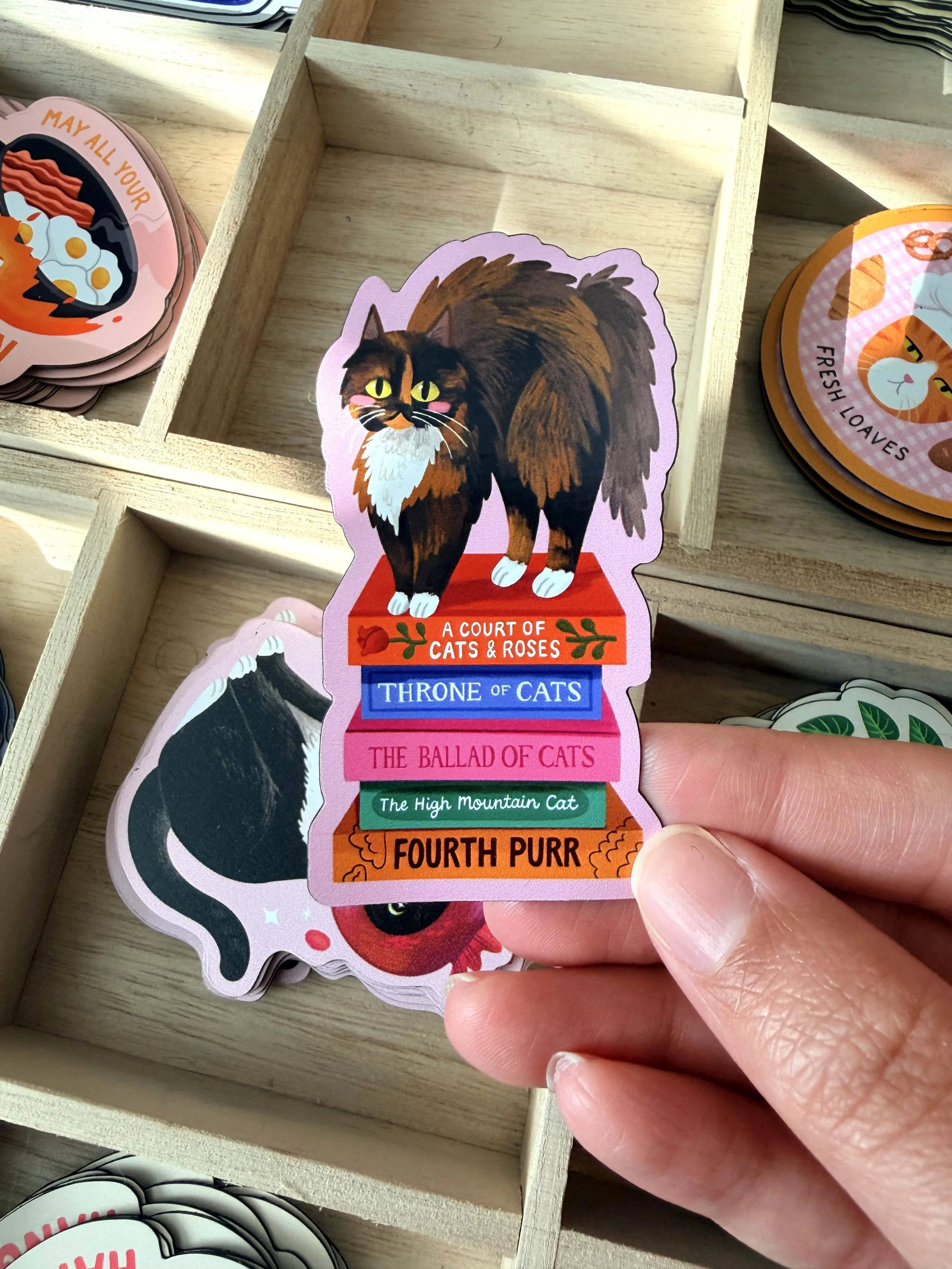 Spicy Tortie magnet
