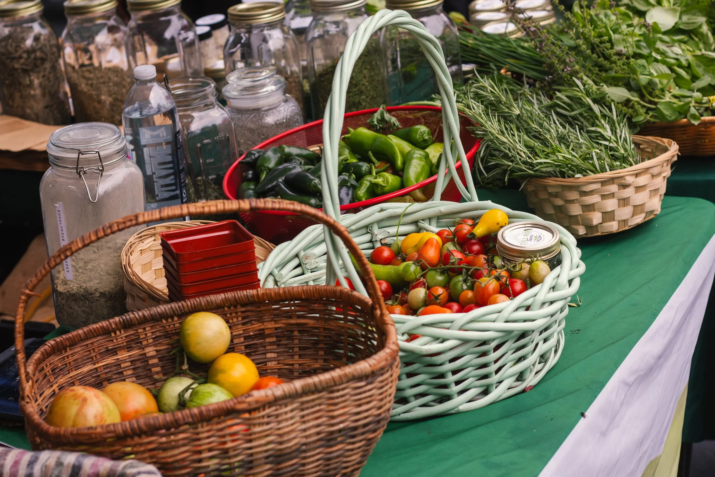 Get Fresh Daily 8.22.2026-77.jpg