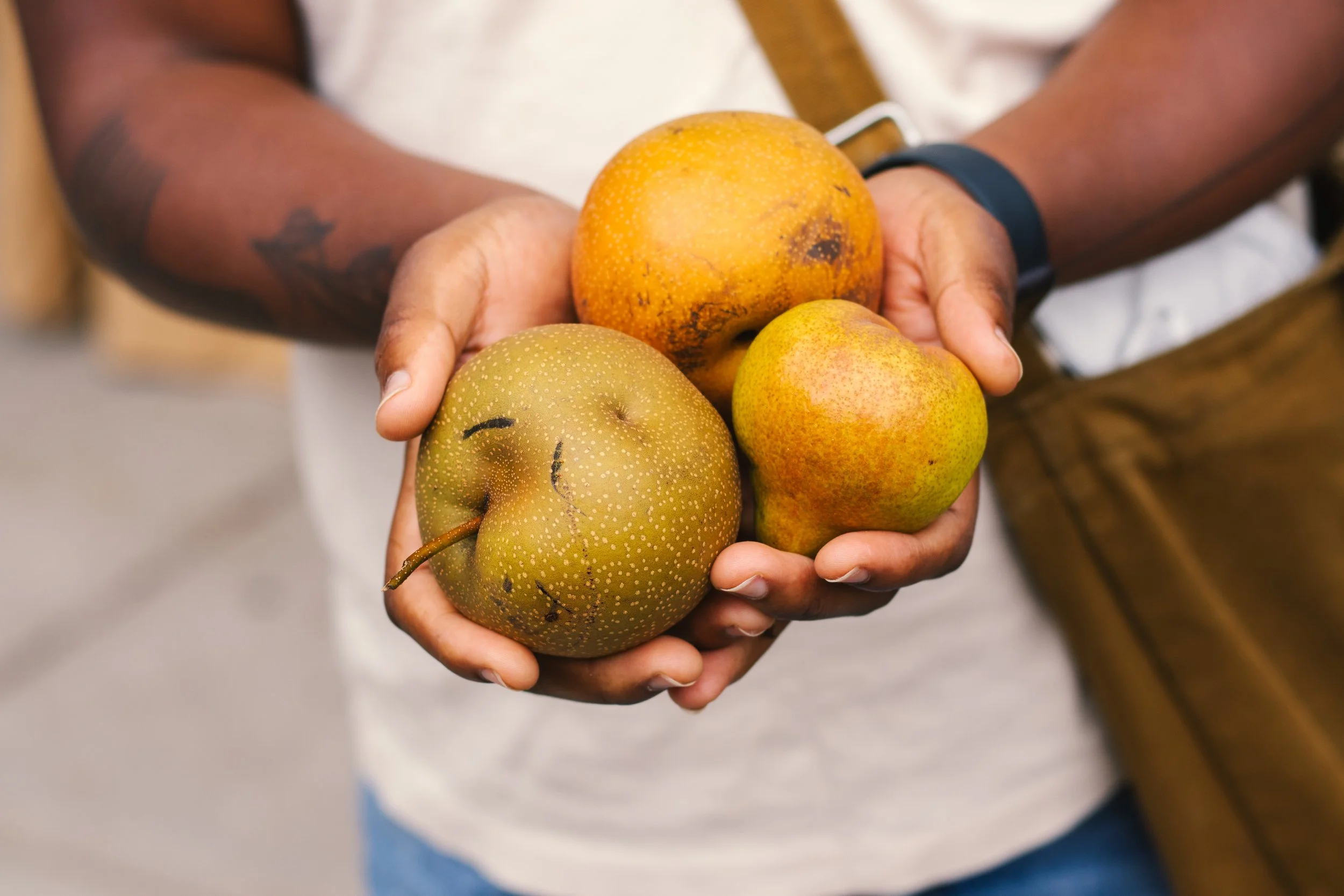 Get Fresh Daily 8.22.2026-139.jpg