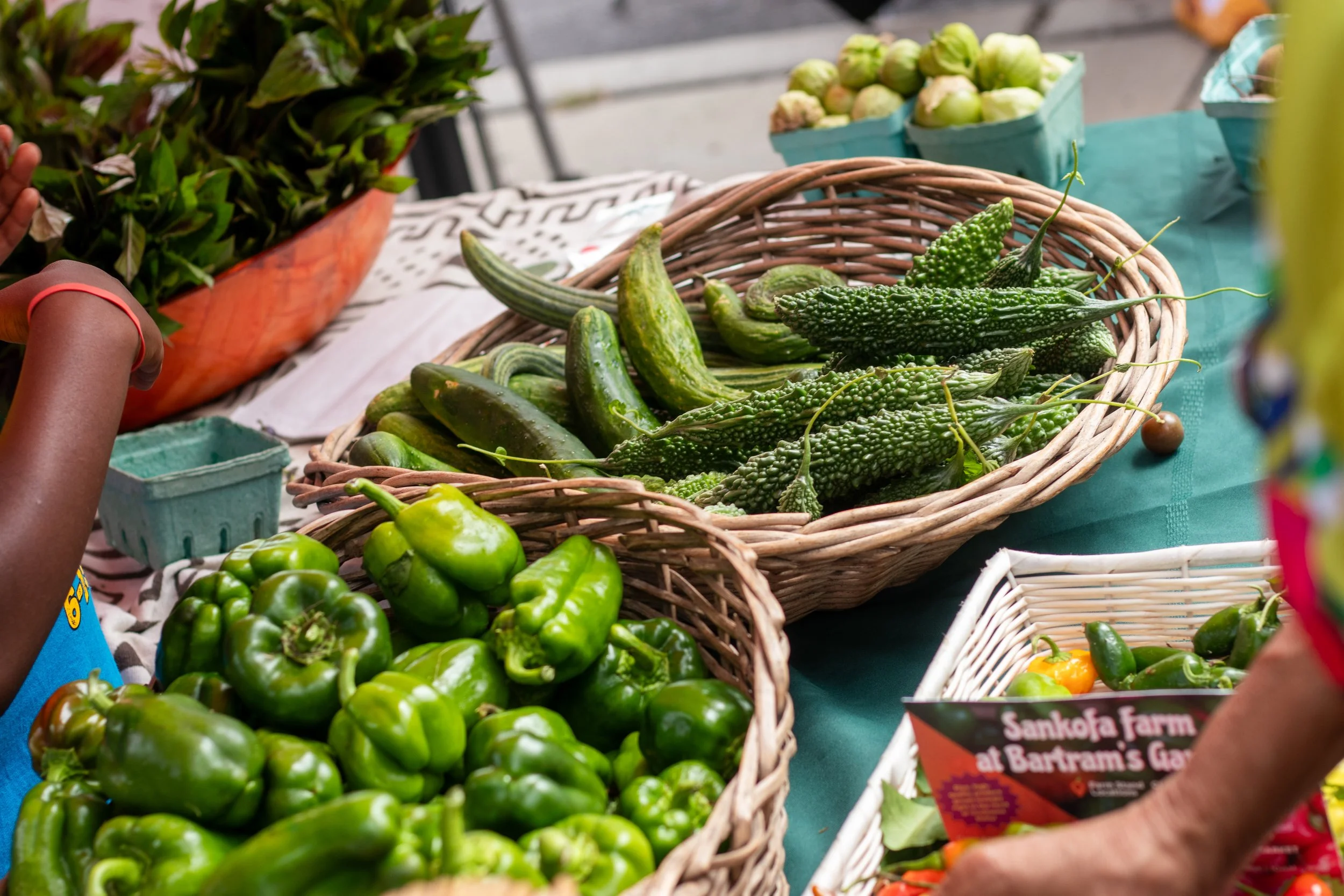 Get Fresh Daily 8.22.2026-197.jpg