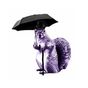 A squirrel wearing a top hat holding a black umbrella.