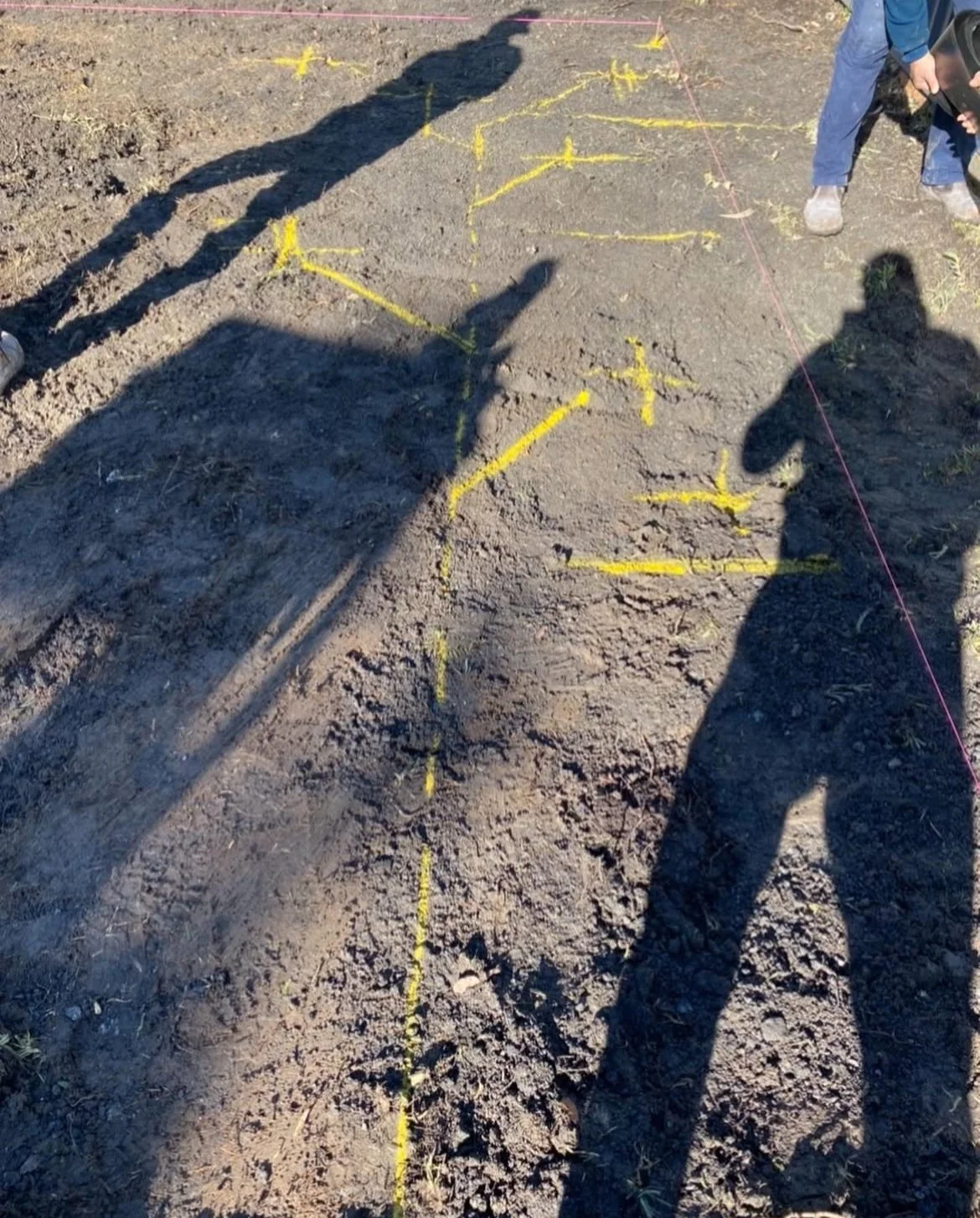 Shadows of three people on a dirt ground, with yellow markings and a red string marking a grid or plot.