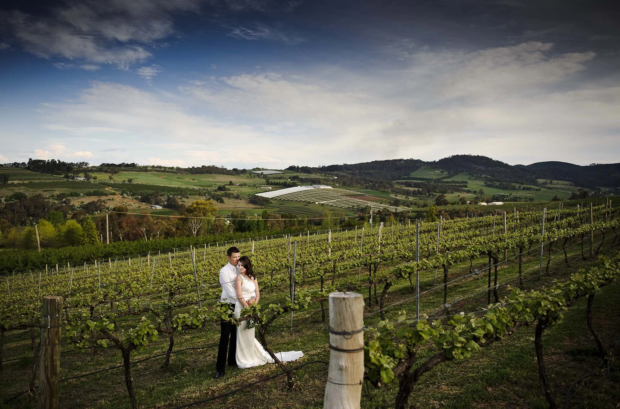 Winery Wedding Venue Orange — Borrodell Estate