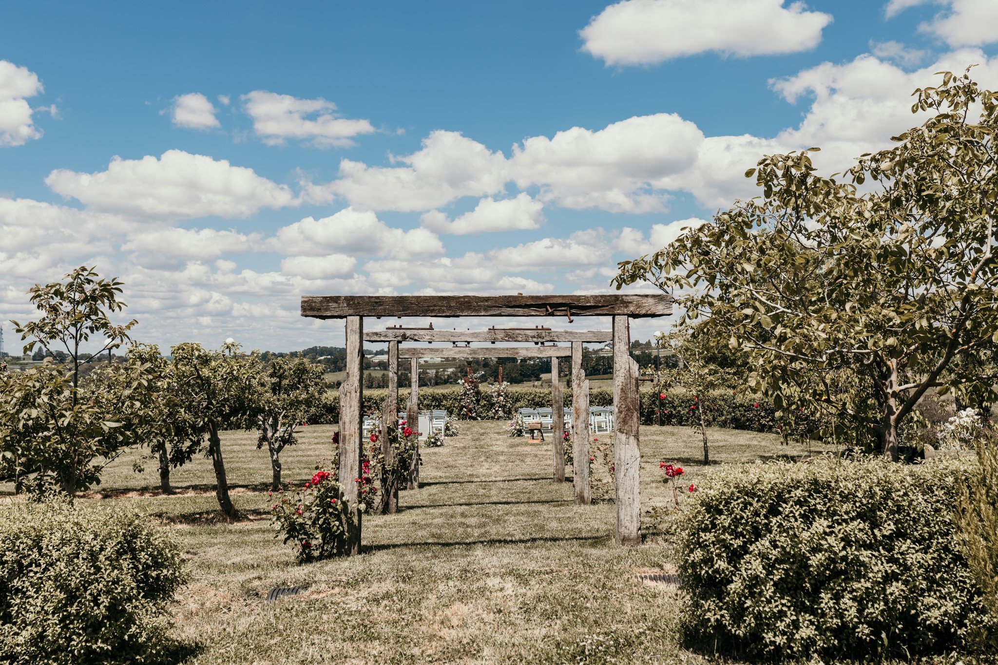 aisle in rose garden.jpg