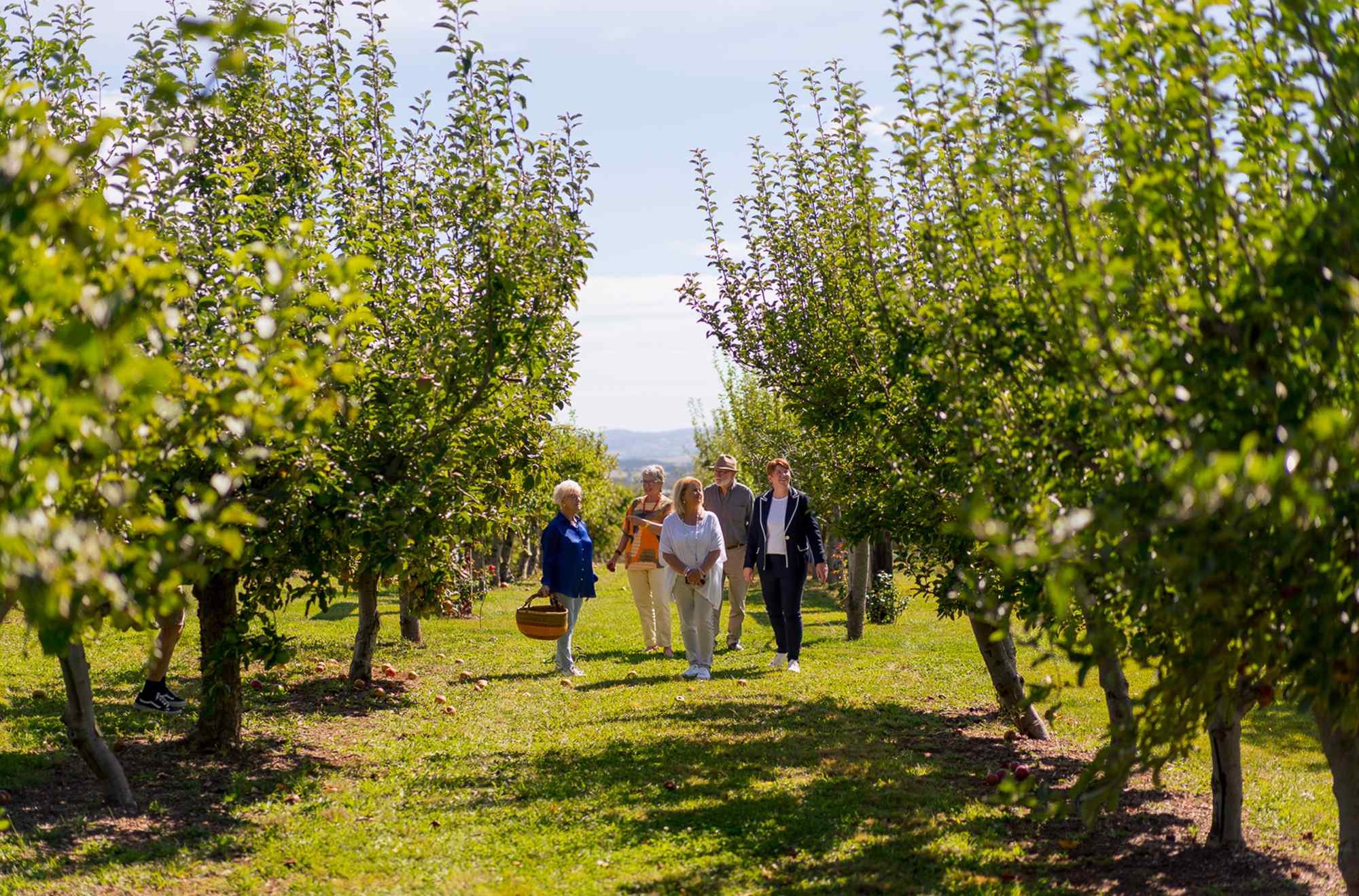 Orchard Tours Orange, Borrodell Estate (4).jpg