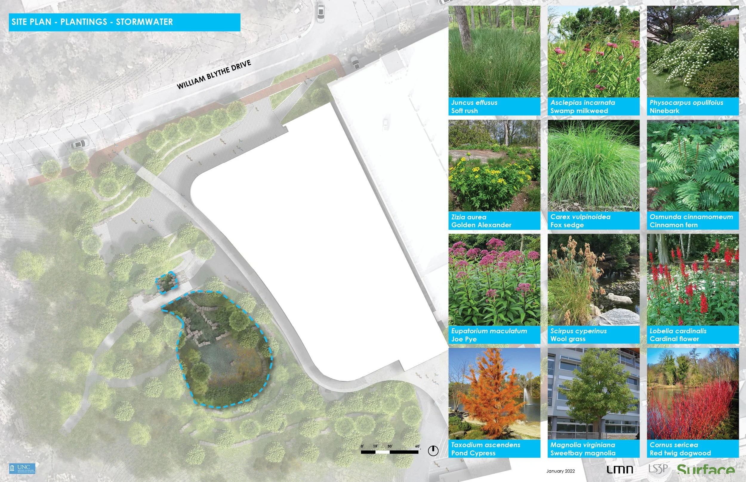 UNC McColl Building - Plan with Plant Palette.jpg