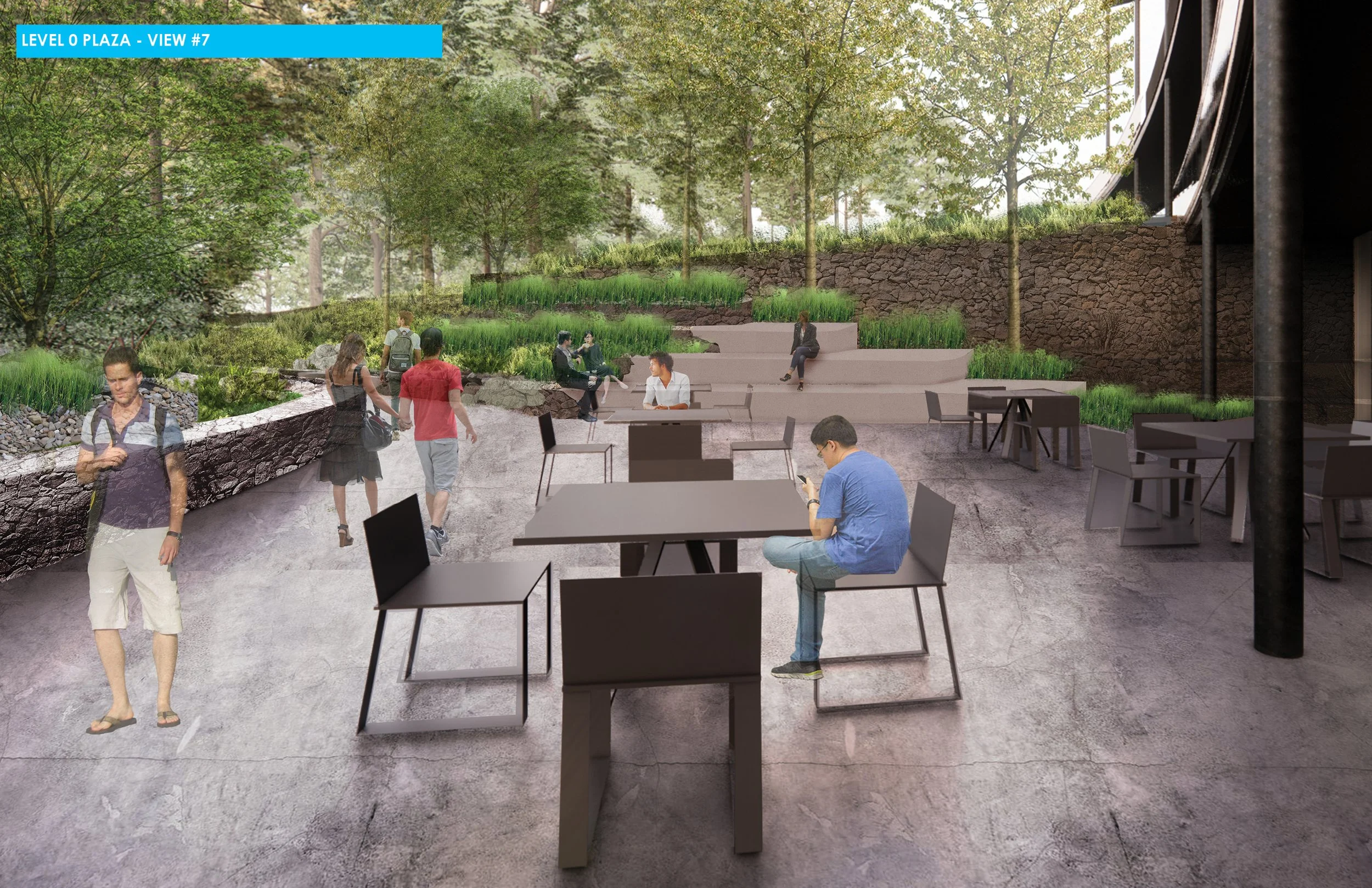 DD VIEWS UNC MCCOLL FIXED8.jpg