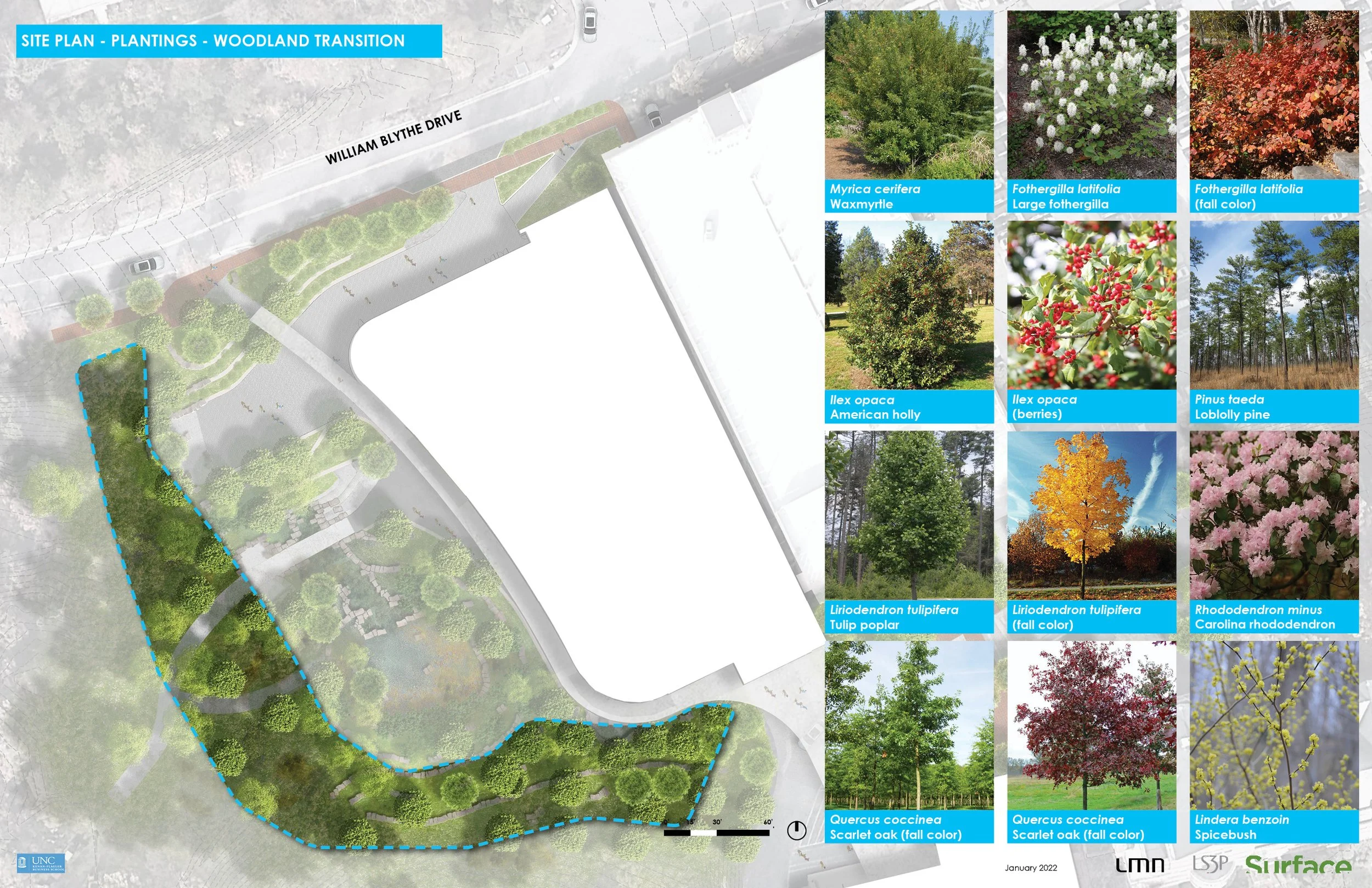UNC McColl Building - Plan with Plant Palette3.jpg