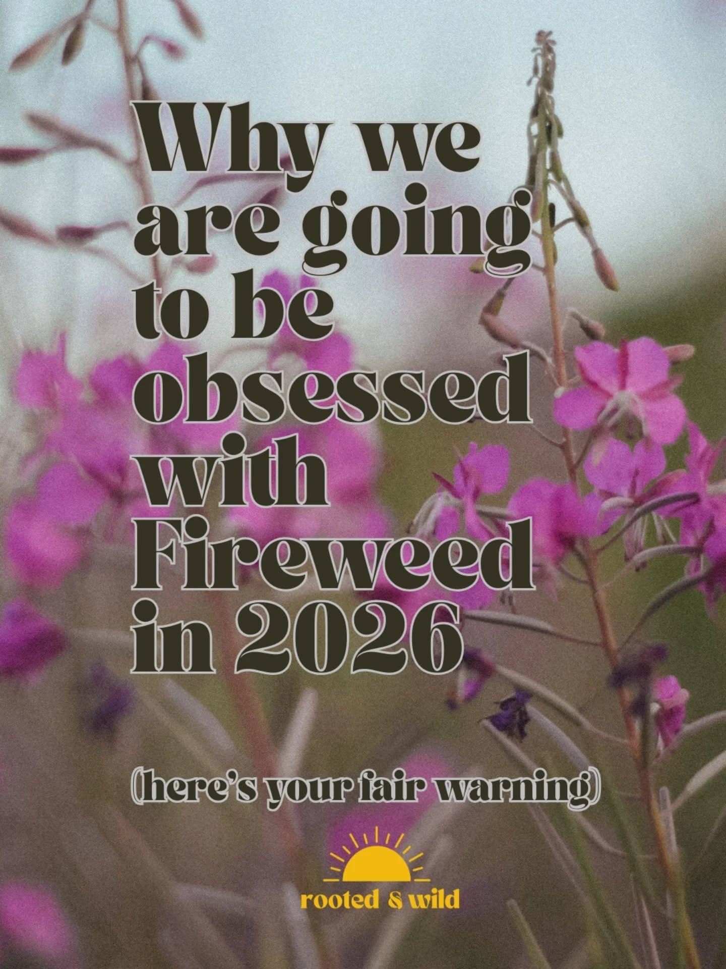 It's time to burn and bloom baby. 

Introducing Rooted &amp; Wild's new program:

The Fireweed Fund 

Meant for women who are rebuilding, redefining, and planting seeds after a wildfire, it's an opportunity for women to participate in our Year of Adv