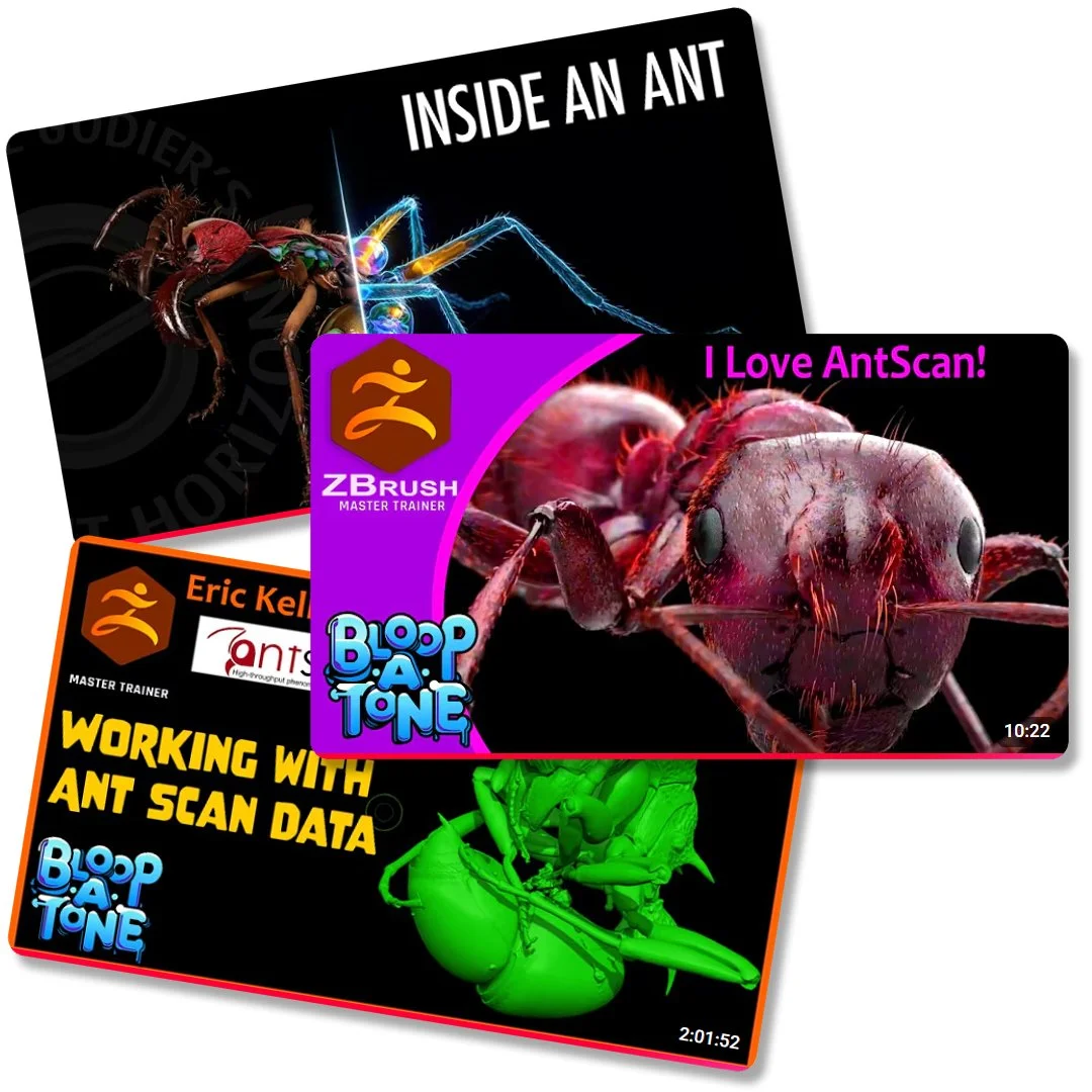 Antscan to watch and listen to