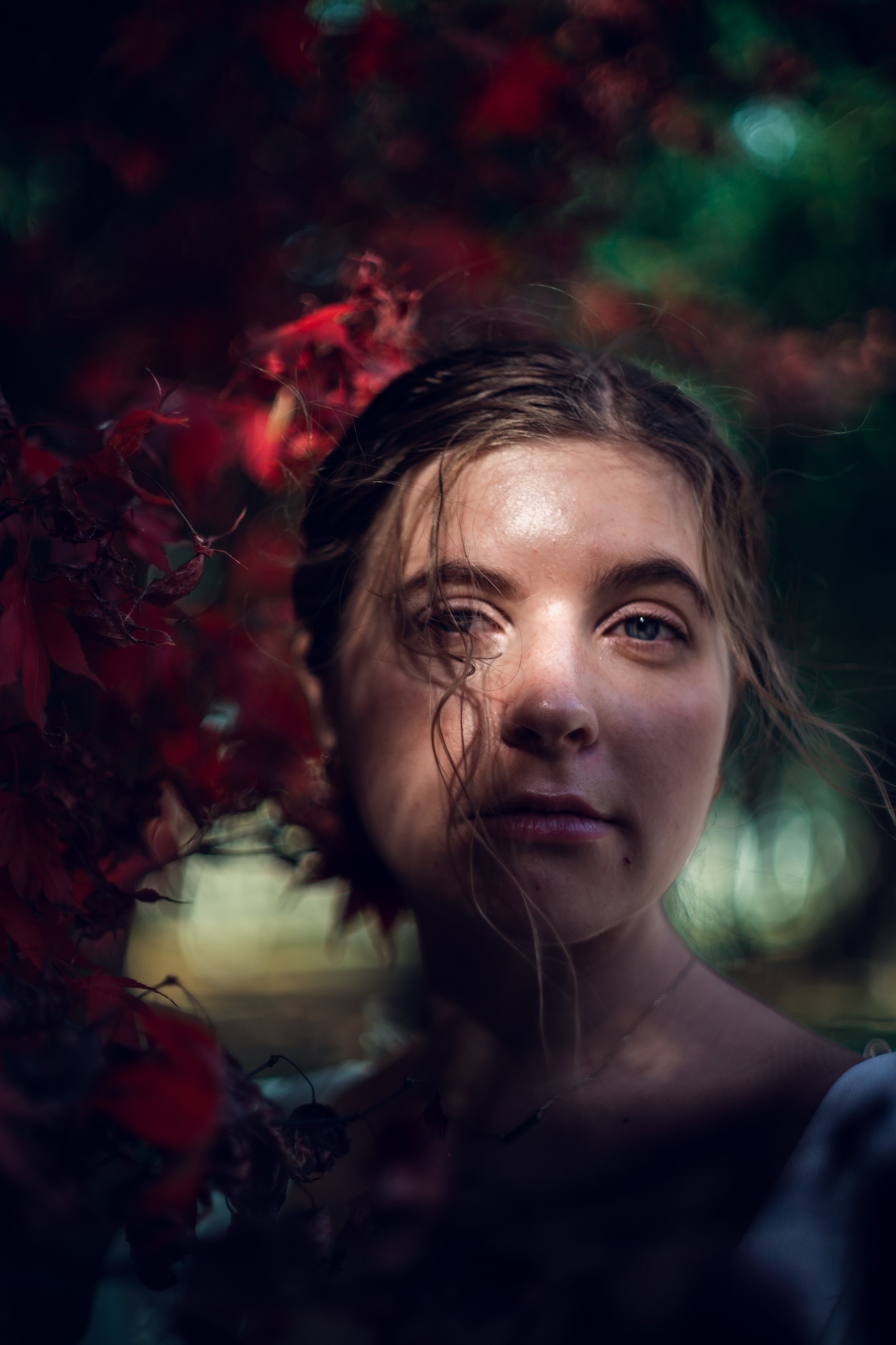 Through Trees 1.jpg