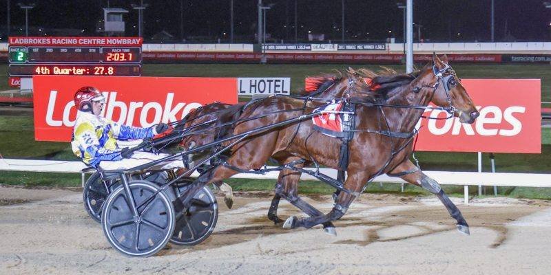 YOUNGSTER IN RUNNING FOR TASSIE HONOURS