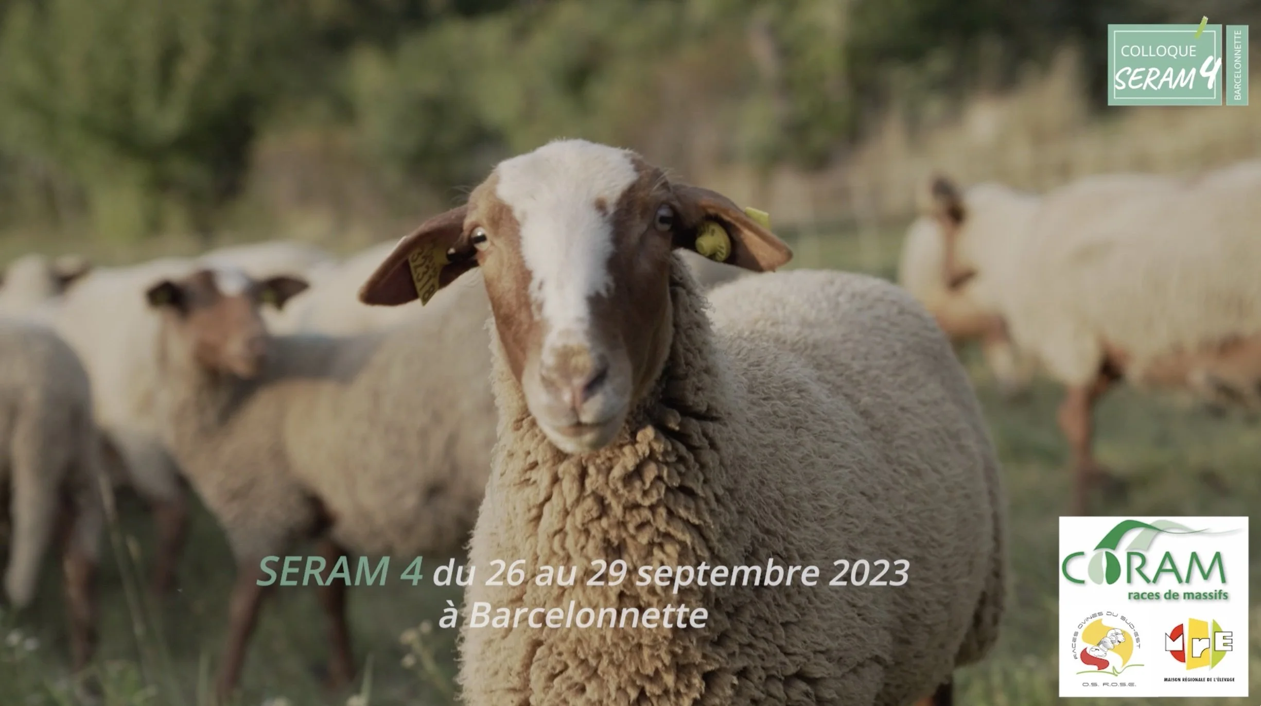 Capture d’écran 2023-10-19 à 15.43.22.jpg