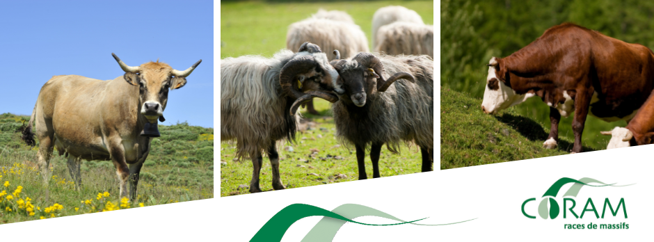 COuverture Facebook Coram(1).png