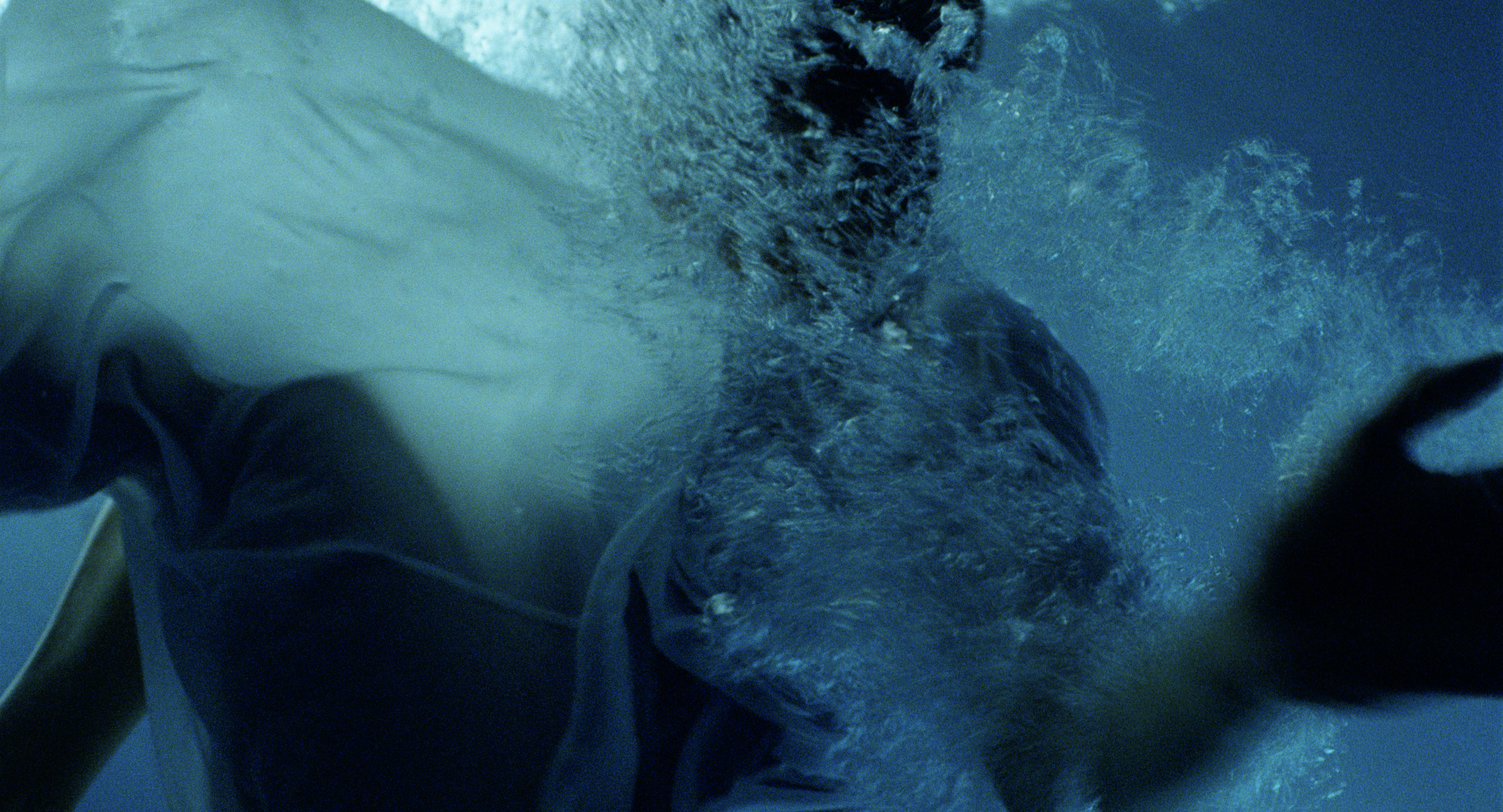 Profunda reverencia_Fotograma de película 2.png