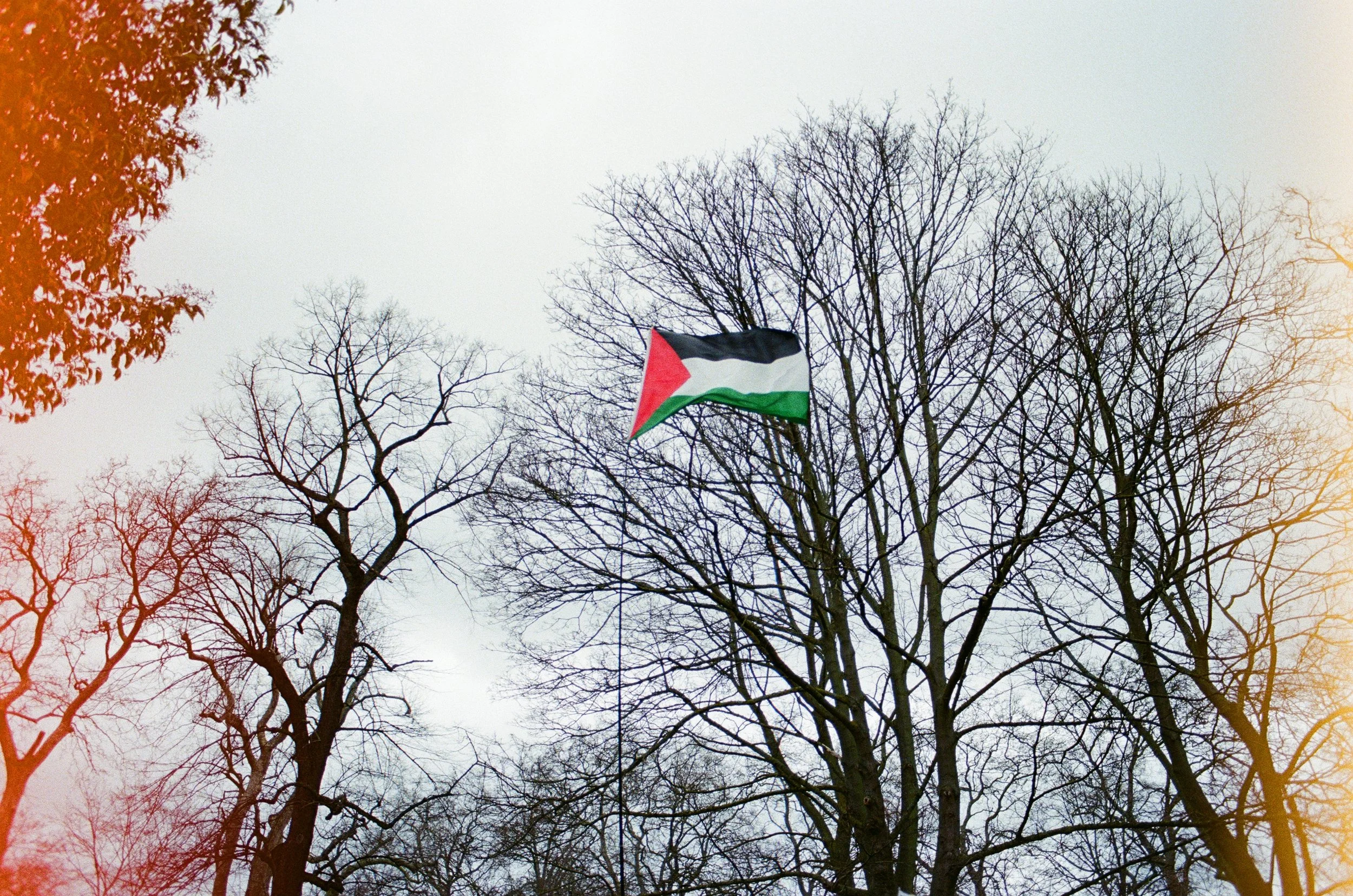 Palestinian flag waving among bare trees against a cloudy sky with red light leak effect.