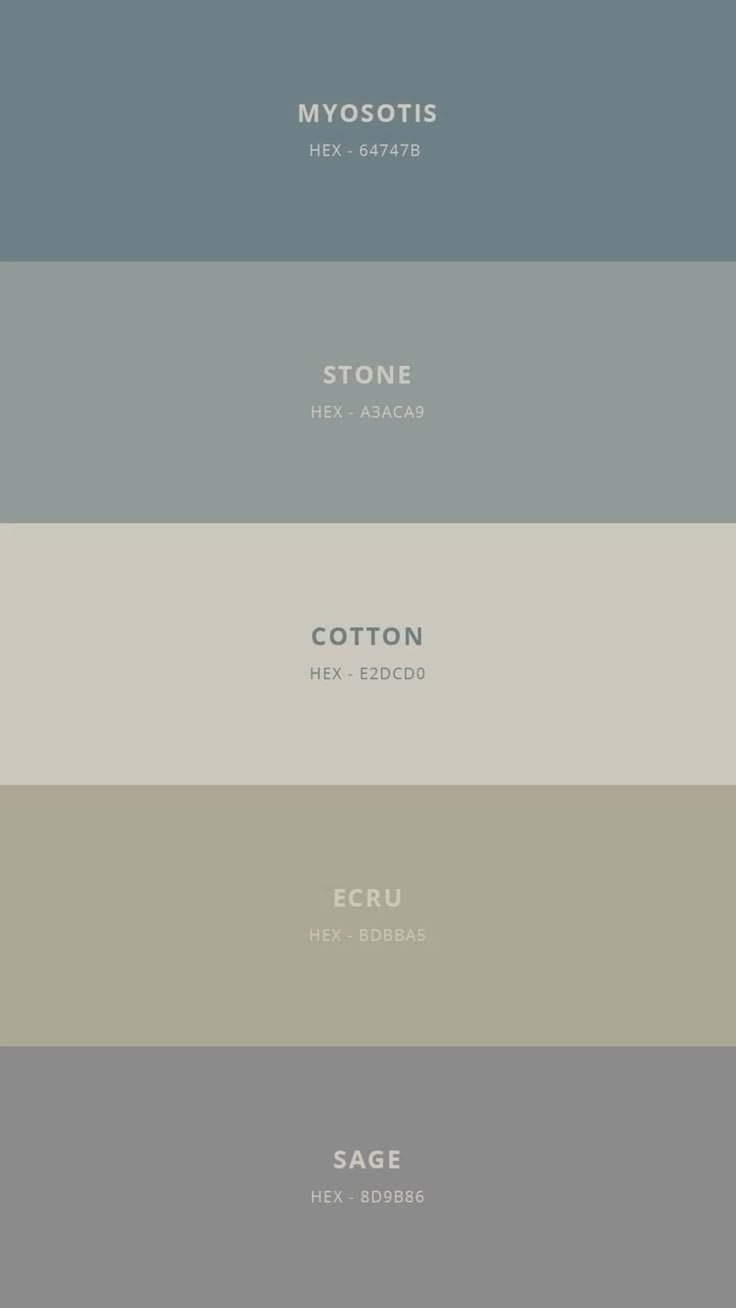Color palette.jpeg