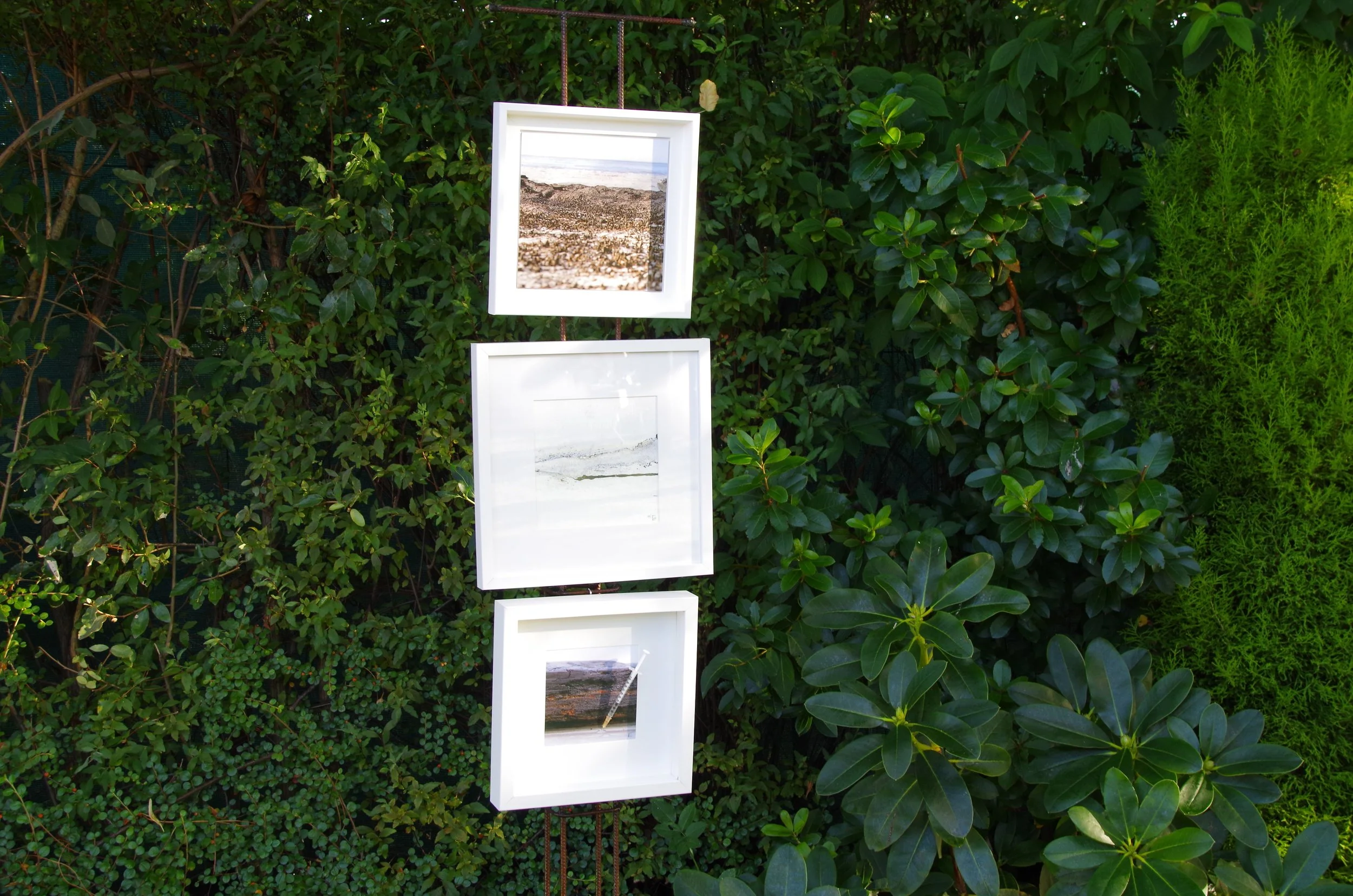 M-C_Performance_Collectif-CM3_2016_MEMOIRES-EPHEMERES_IMGP9320.JPG