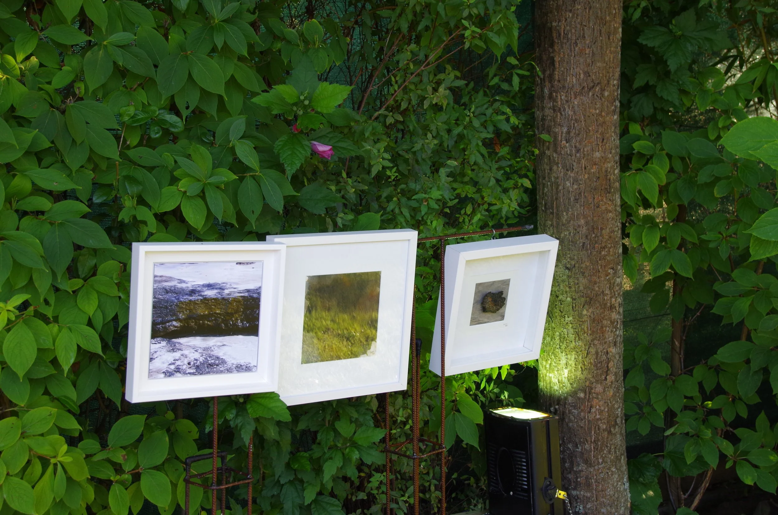 M-C_Performance_Collectif-CM3_2016_MEMOIRES-EPHEMERES_IMGP9321.JPG