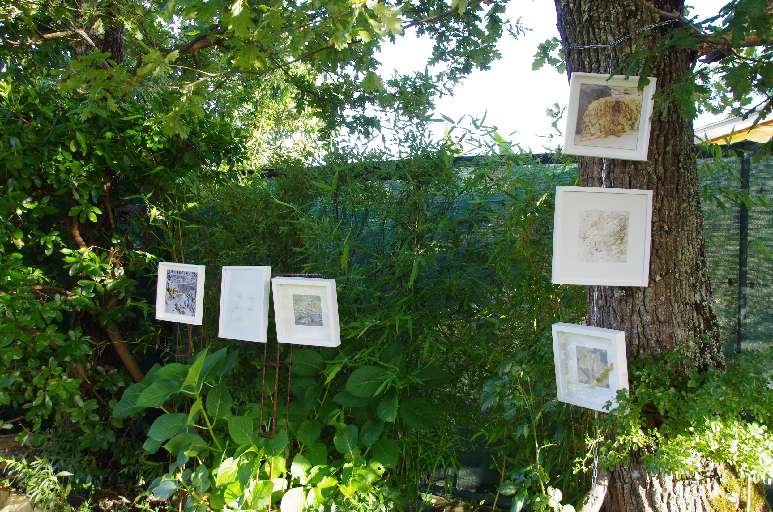 M-C_Performance_Collectif-CM3_2016_MEMOIRES-EPHEMERES_IMGP9328.JPG