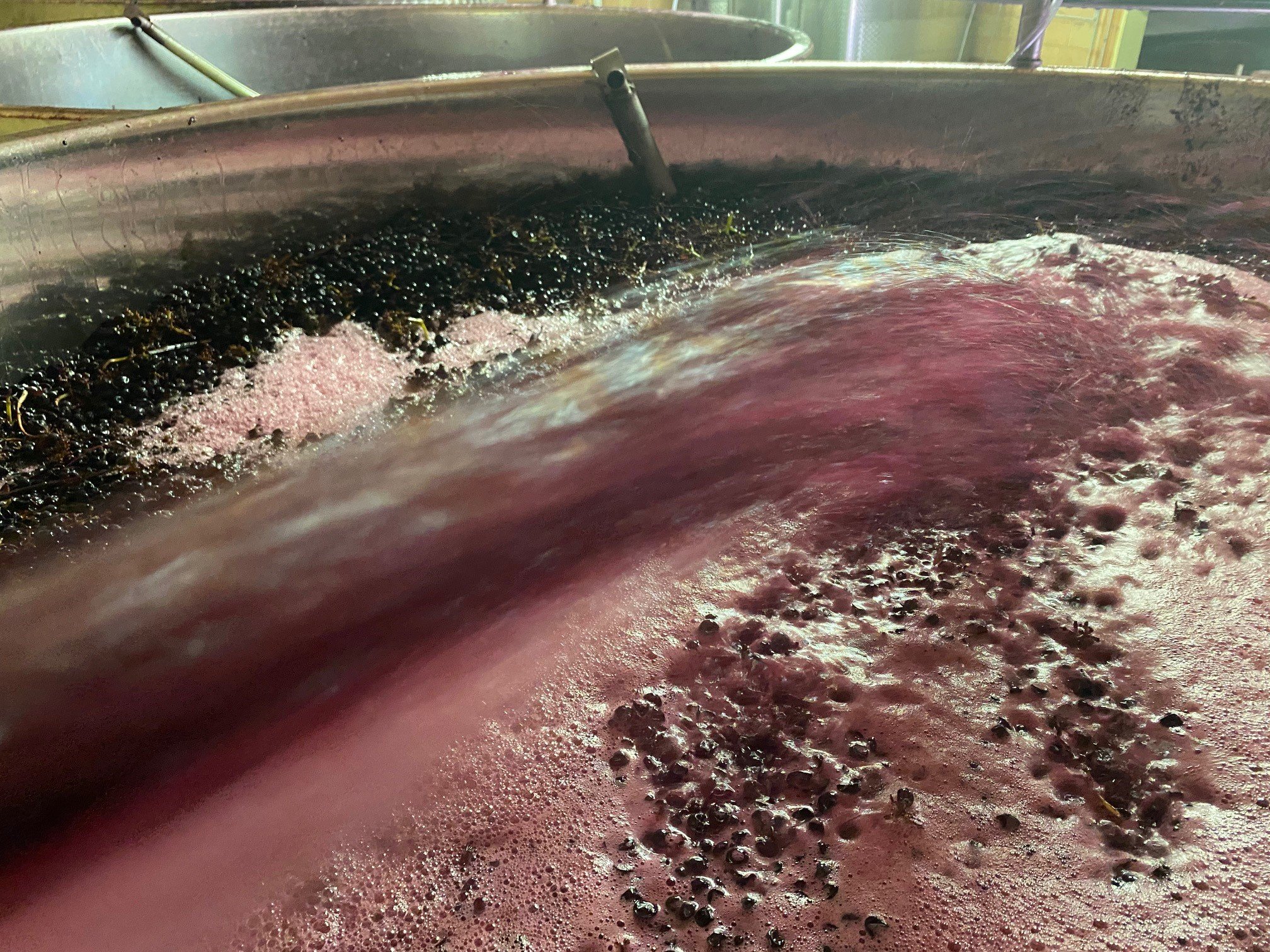 VINIFICATION4.jpg