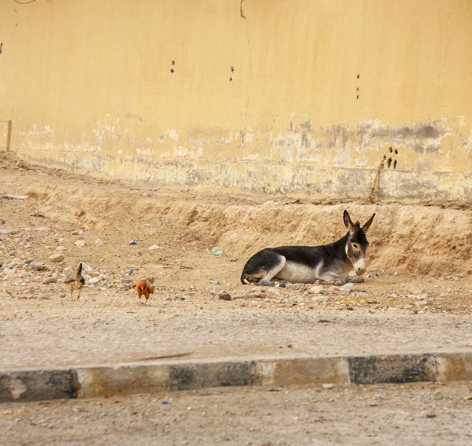 216_13-08-23e.jpg