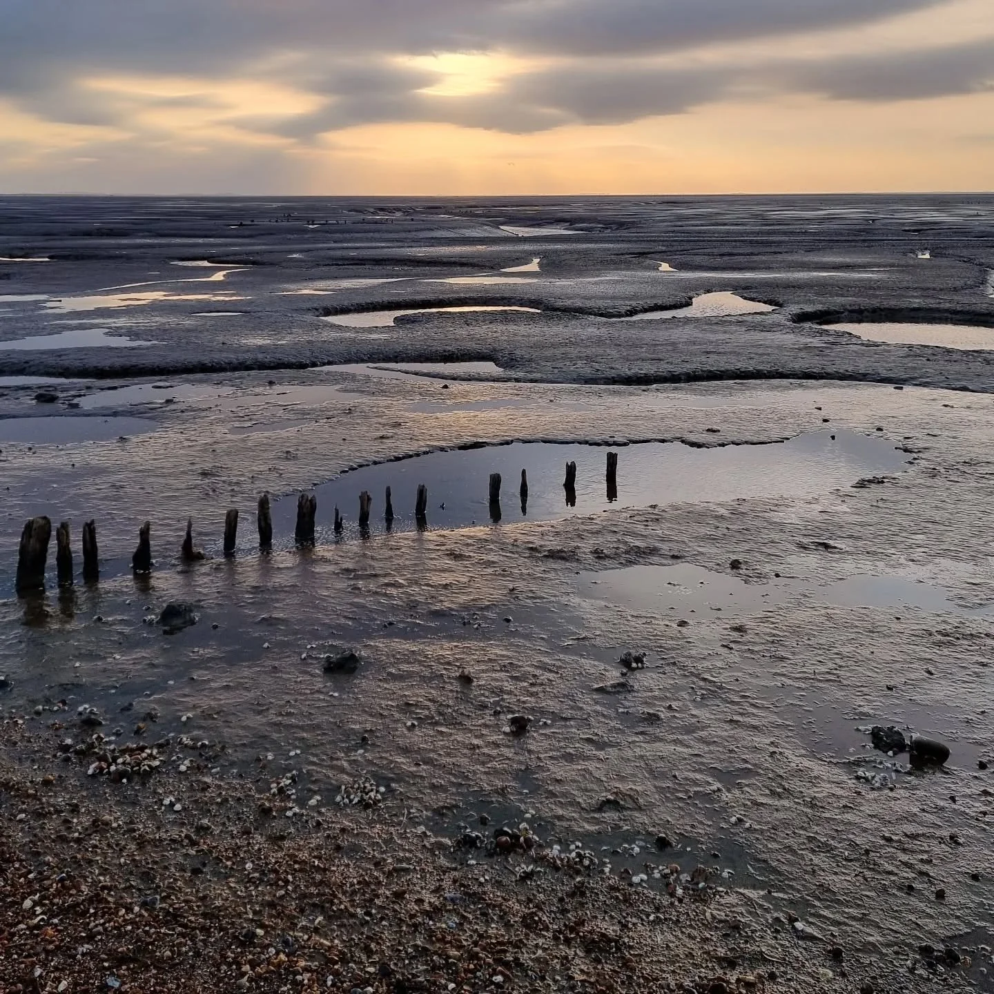 📷 &ldquo;From Coastlines to Quiet Corners&rdquo;
Norfolk has a way of slowing the world down &mdash; long horizons, soft skies, and a whisper of sea air.

From coastlines to quiet corners, I&rsquo;ve been wading (literally!) through water and light,