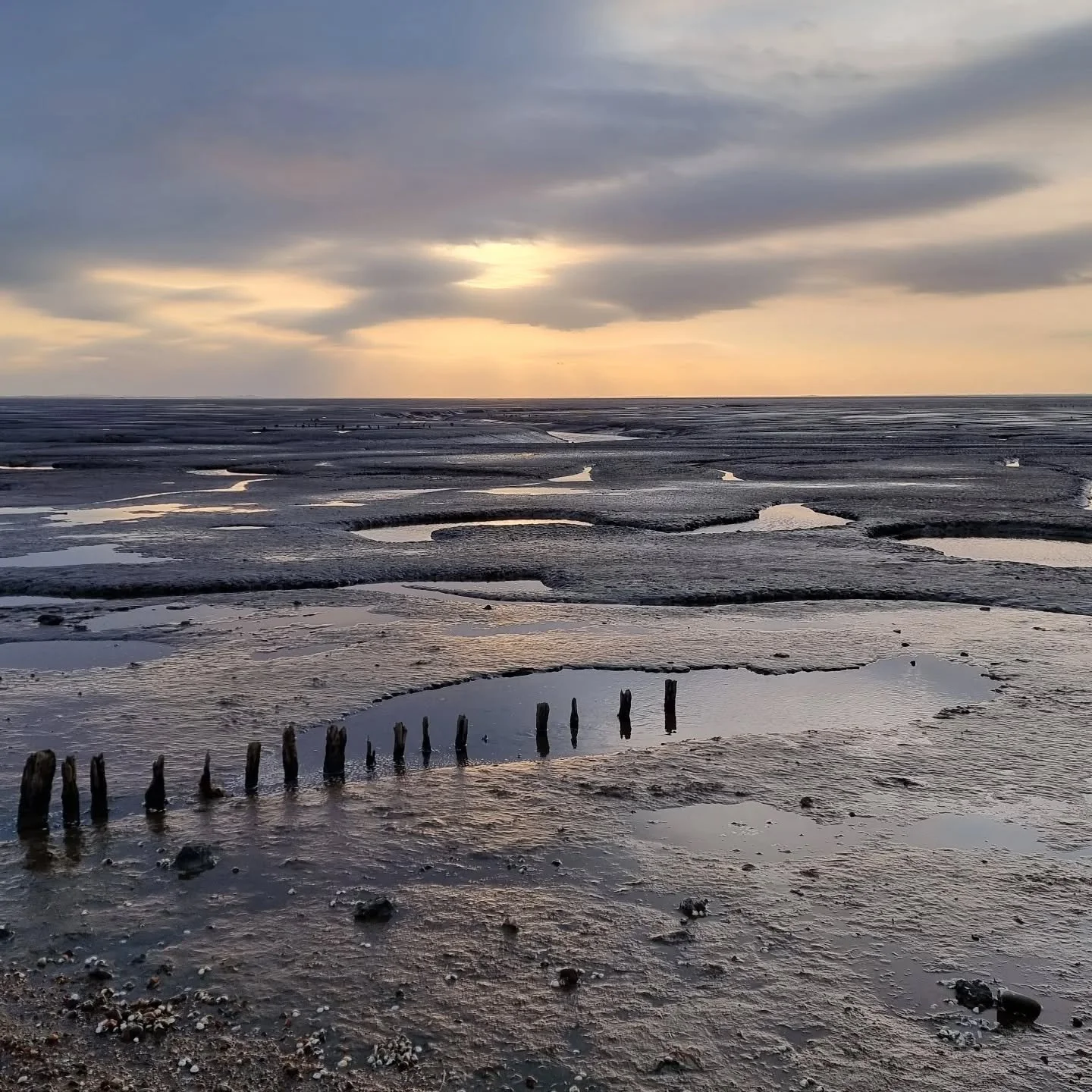 &ldquo;And Then the Light Softened&hellip;&rdquo;
As the day draws to a close, Norfolk&rsquo;s horizons turn to gold and the tide whispers its last secrets.

From coastlines to quiet corners, today&rsquo;s been about slowing down, wading through wate