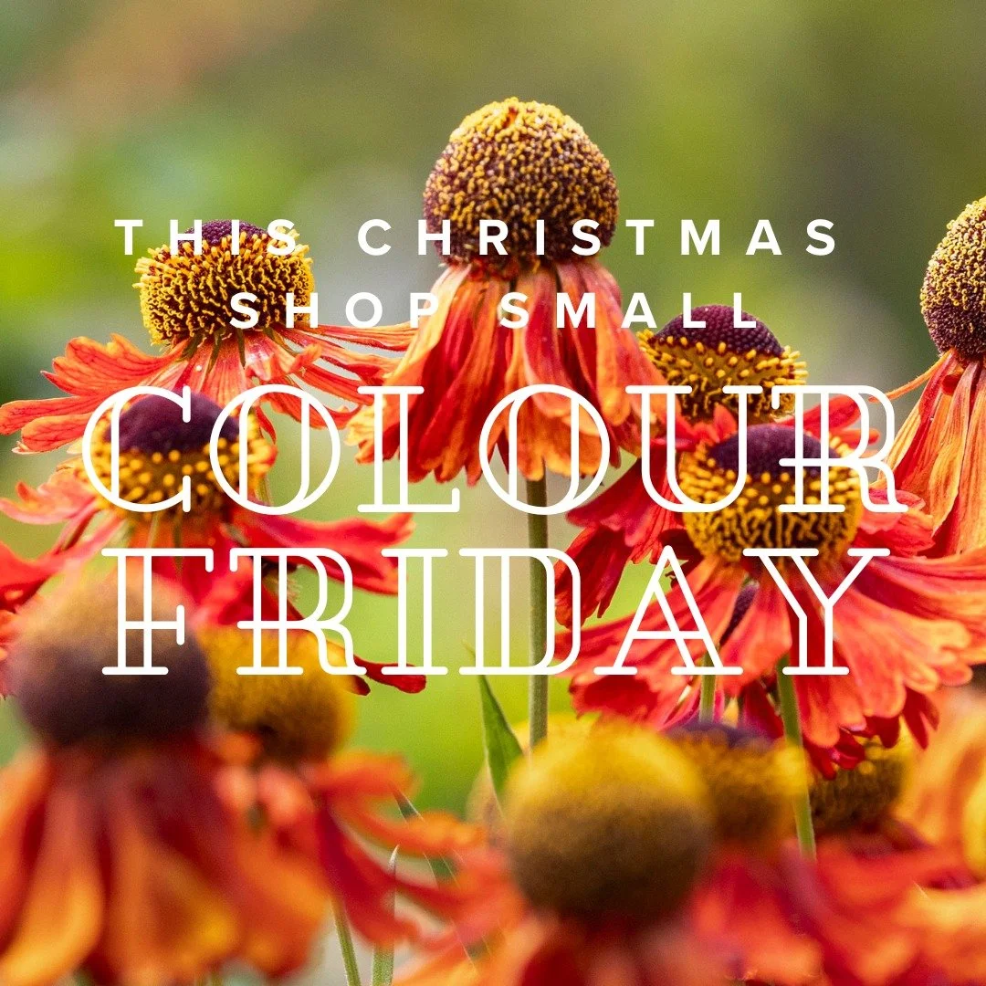 Swap Black Friday For Colour Friday
THIS CHRISTMAS, SHOP SMALL

The 28th November 2025 will be the day that millions of us in the UK start our Christmas shopping. Yet while Black Friday will be booming, over a million small businesses will be breakin