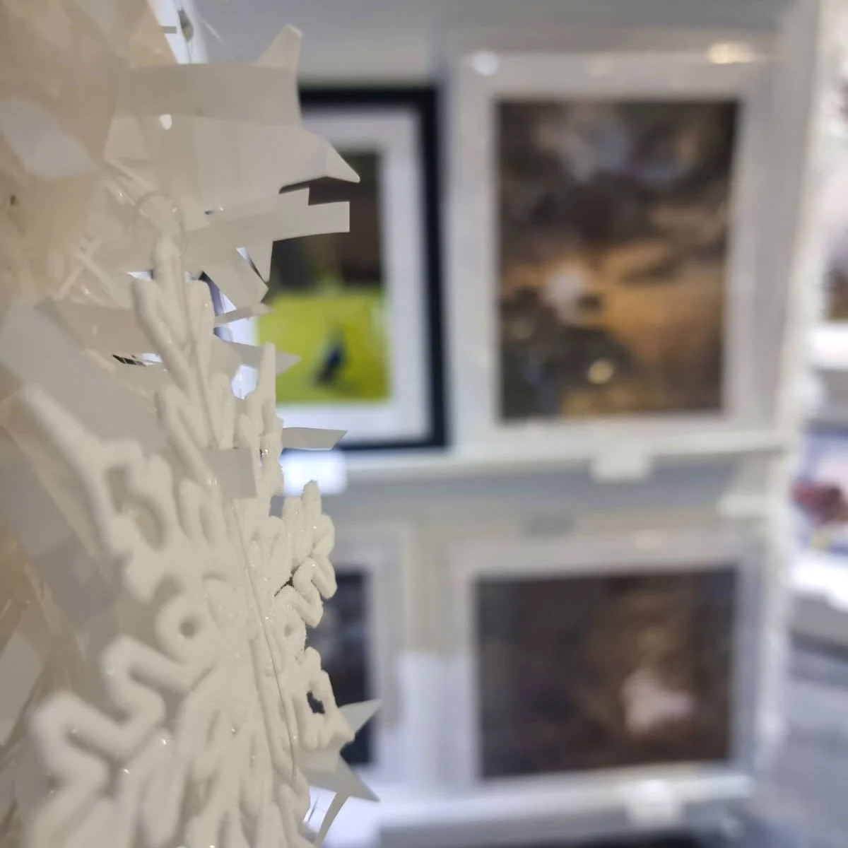 Late Night Shopping at Gallerie Schmetterling &mdash; tomorrow evening. ✨
Thursday 5th December I&rsquo;ll be keeping the doors open later for an unhurried chance to browse, ask questions, and see my prints in the evening light.
No queues, no rush &m