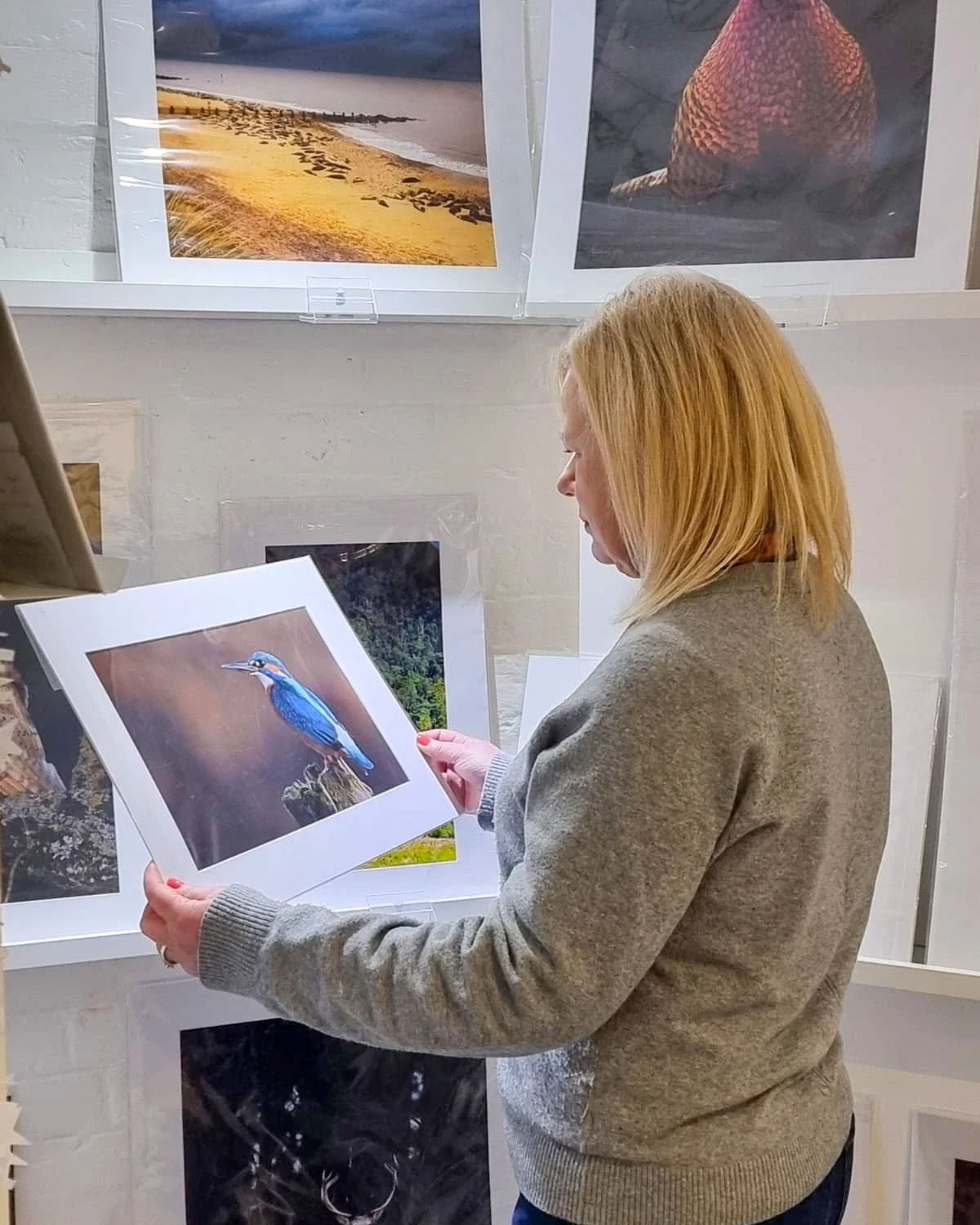 Wildlife stories, all in one place.
From puffins and owls to the ever-popular King of the River, each print has its own moment of pause and personality.
If you're looking for a gift with meaning (or a treat for yourself), the wildlife wall is full of