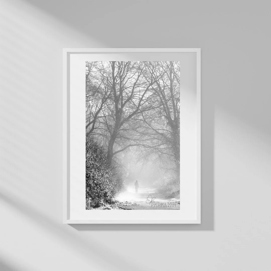 Photographs change as you live with them.

Light shifts. Seasons pass. Quiet moments invite new noticing.
.
.
.
.
.
.
#Mistywinchester #GallerieSchmetterling #ContemporaryPhotography #SlowArt #BlackAndWhitePhotography #LandscapePhotography #FineArtPh