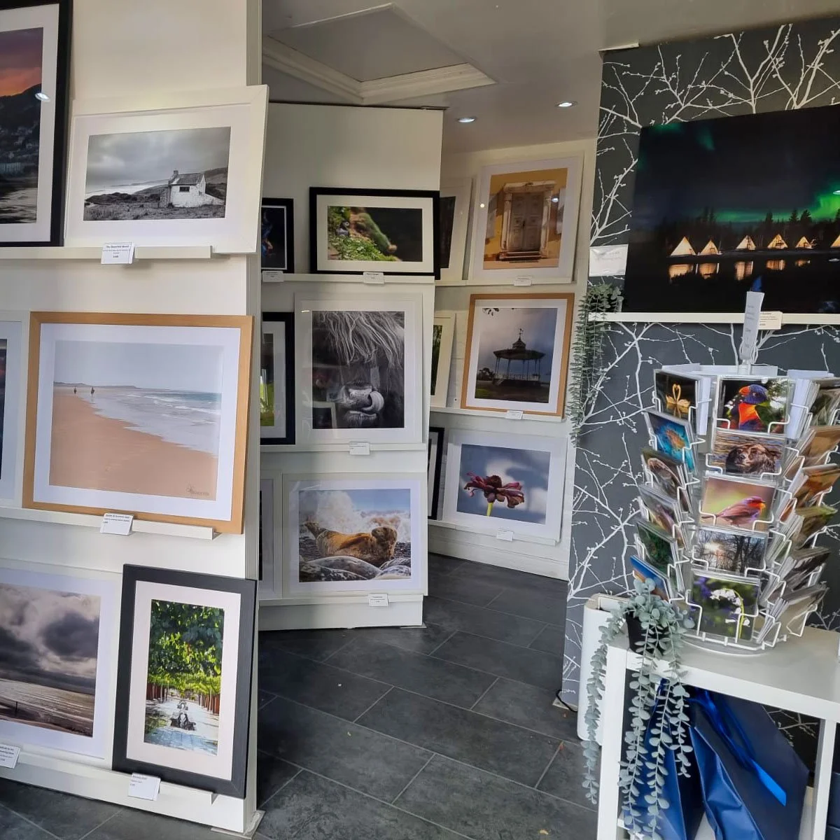 The gallery is open again.

Walls straightened, shelves returned to their places, light spilling in. After January&rsquo;s quiet, it feels good to step back inside and let the work be seen again.

Prints are available in the gallery and online &mdash