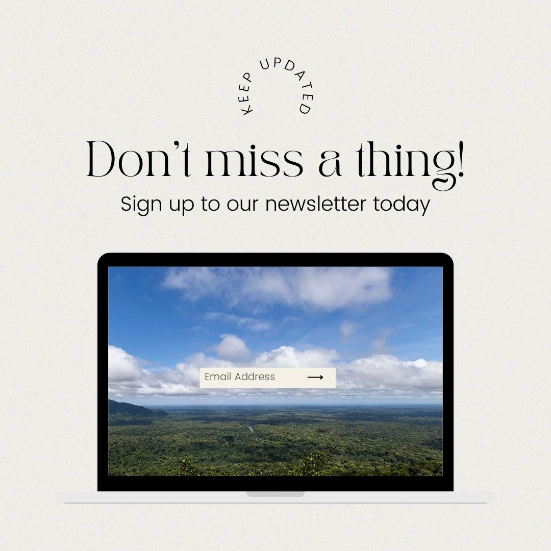 Some stories take time to settle &mdash; the newsletter is where I share them.

link in bio

#GallerieSchmetterling