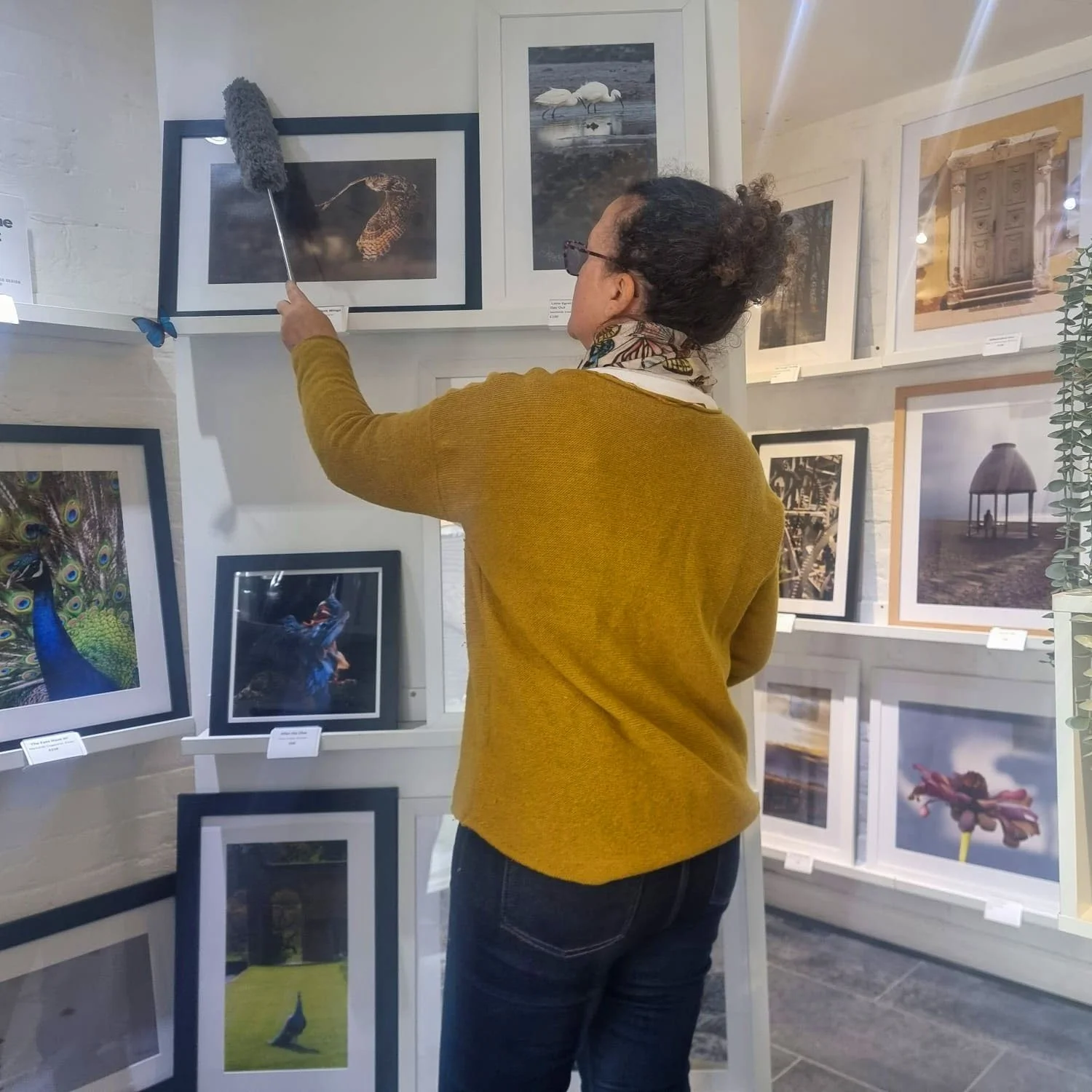 Mondays are usually the quiet, behind-the-scenes day.

A bit of dusting, a bit of moving things back into place, and letting the gallery settle ready for the week ahead.

These small, unseen jobs are part of keeping the space calm and welcoming when 