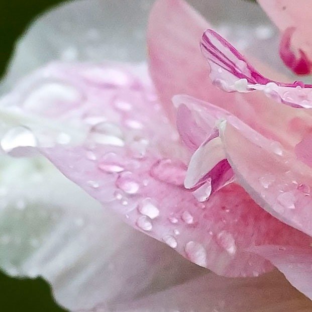 There are a few quiet changes unfolding behind the scenes &mdash; small shifts that will make it easier to explore the work, wherever you are.

More soon.