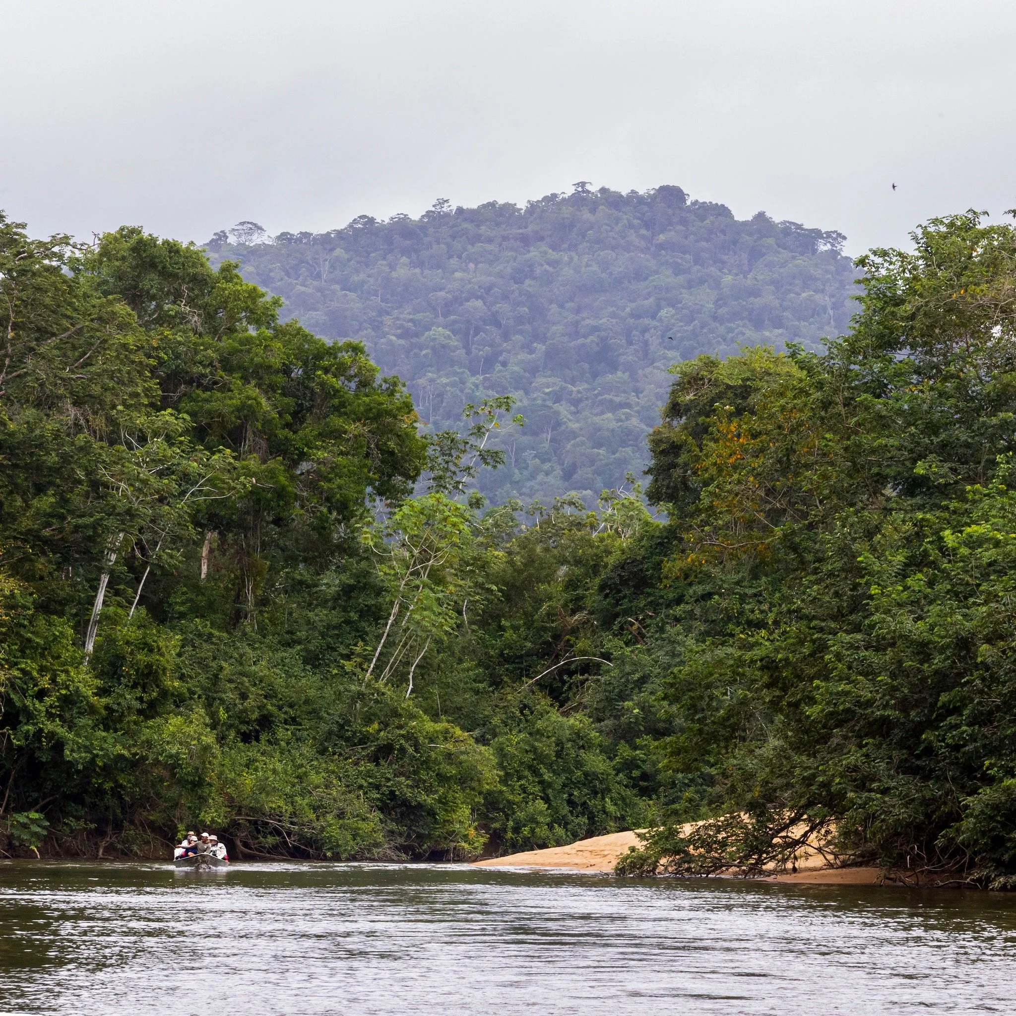 Still working through Guyana.
The first edit is instinct. The second is patience.

Some images reveal themselves slowly.
